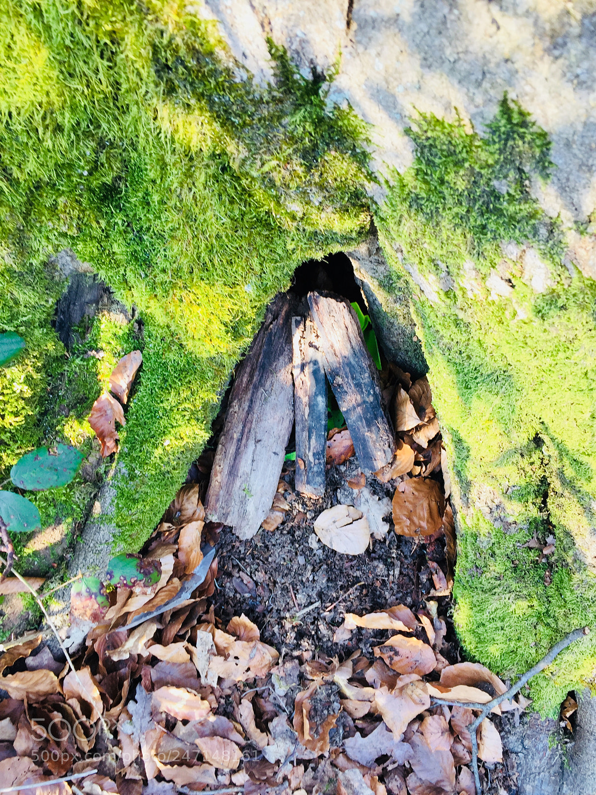 Apple iPhone 6 sample photo. Geocaching photography