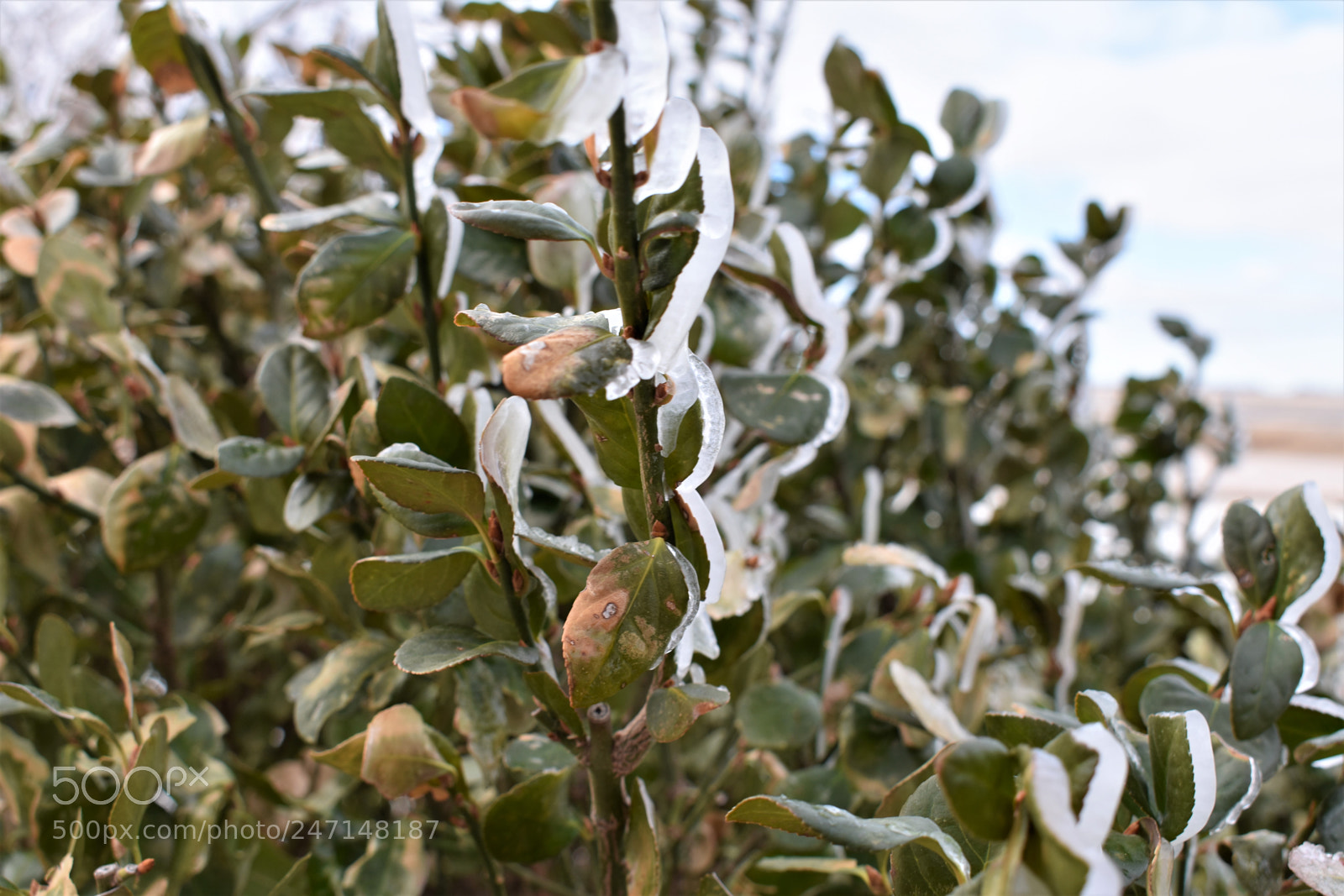 Nikon D3400 sample photo. () photography