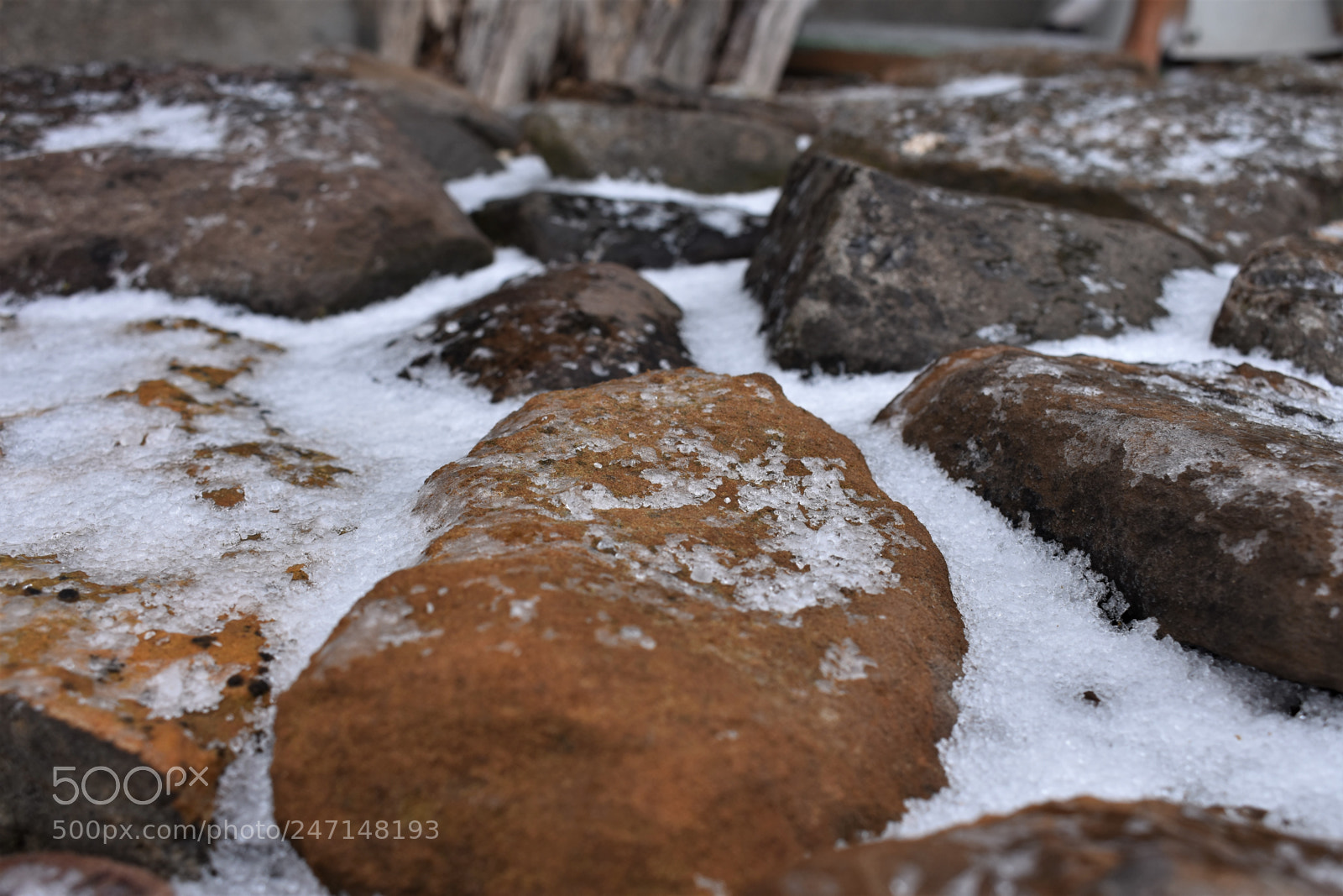 Nikon D3400 sample photo. () photography