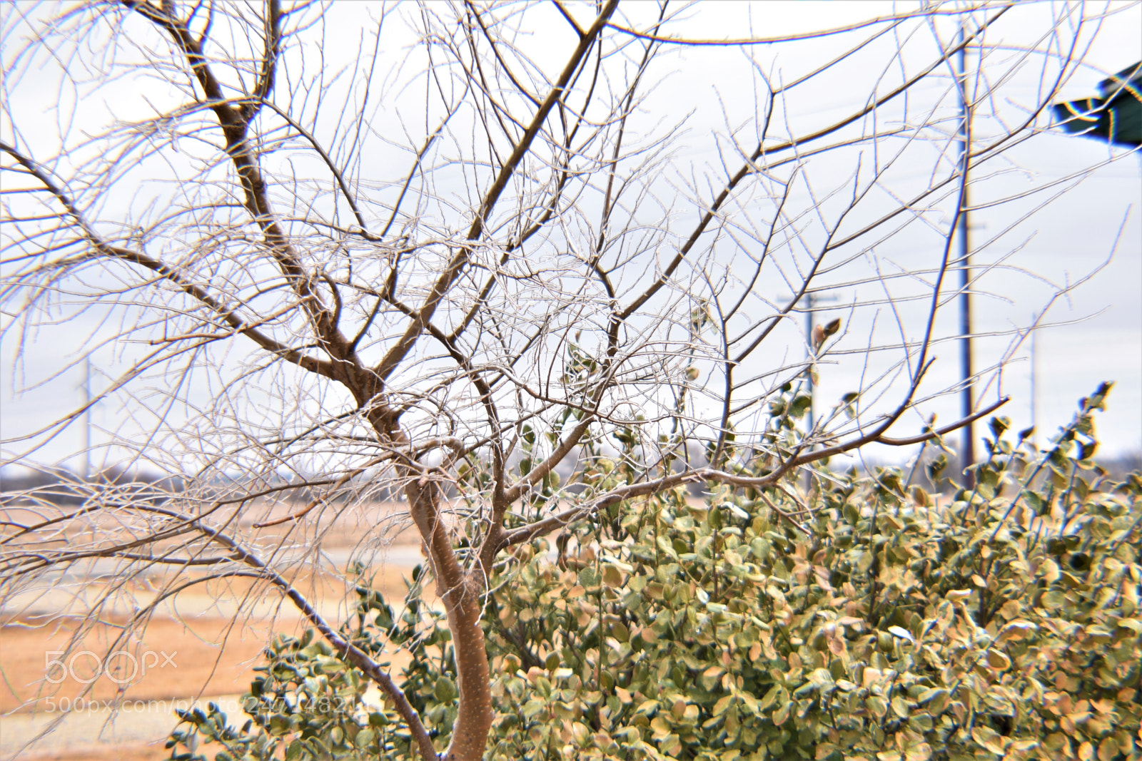 Nikon D3400 sample photo. () photography