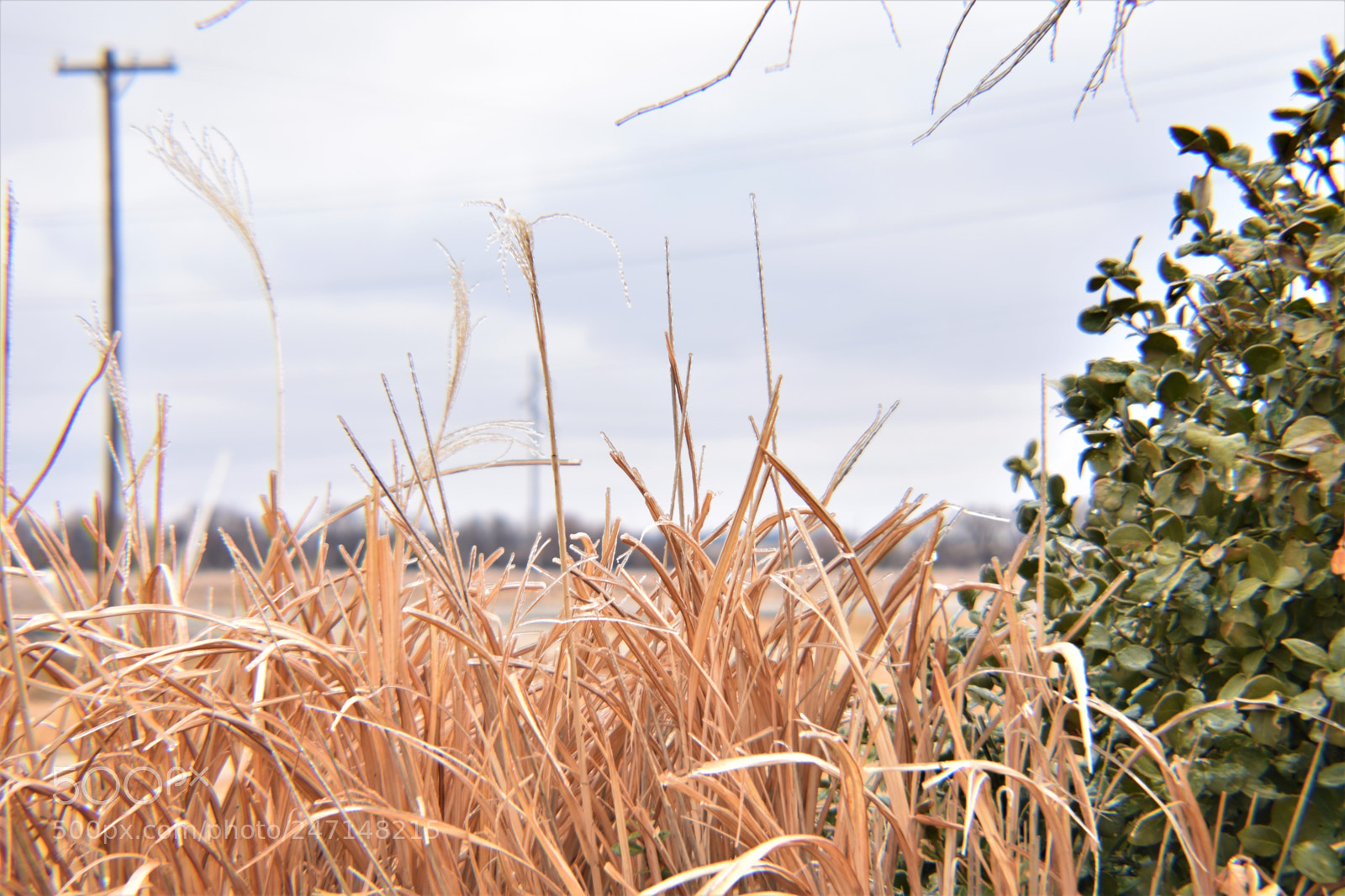 Nikon D3400 sample photo. () photography