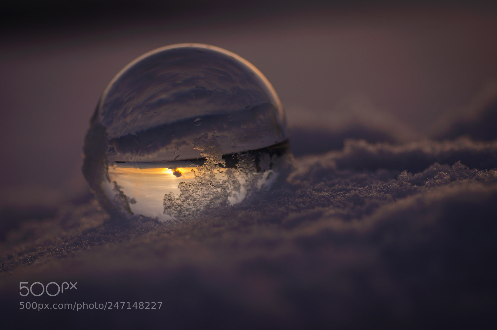 Nikon D90 sample photo. Through the icy glass photography