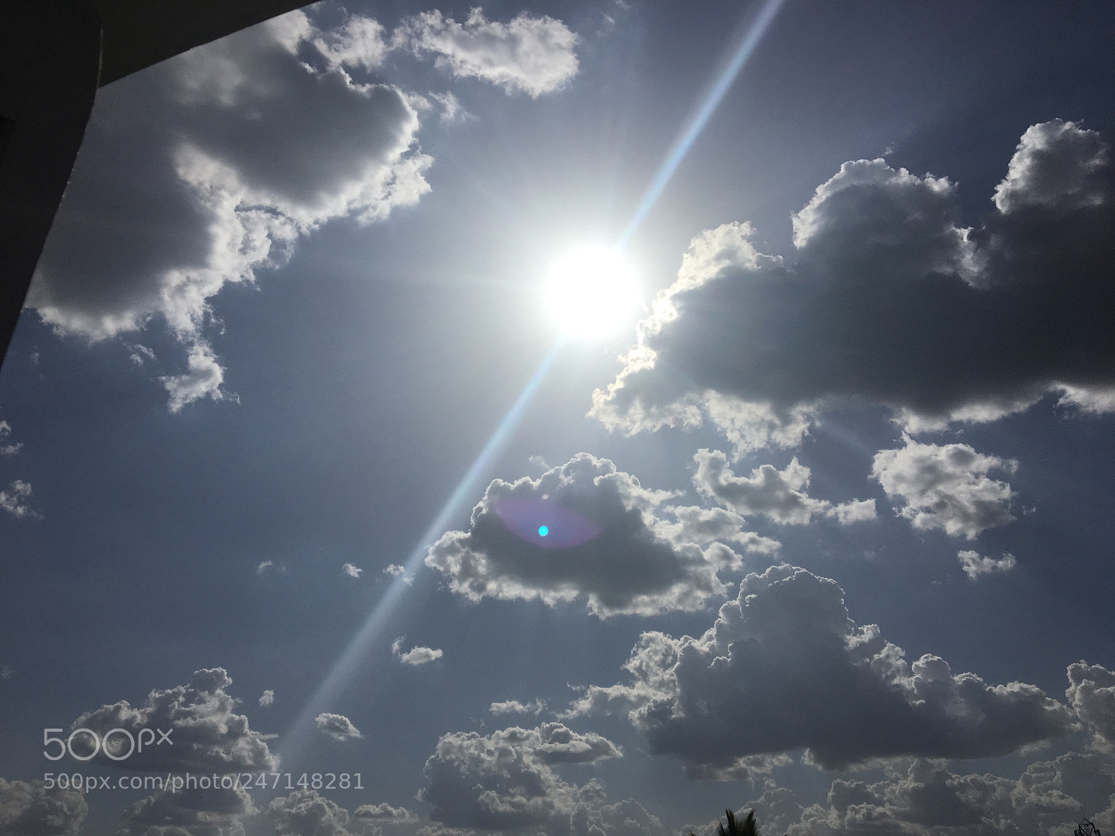 Apple iPhone 6s sample photo. Untitled photography