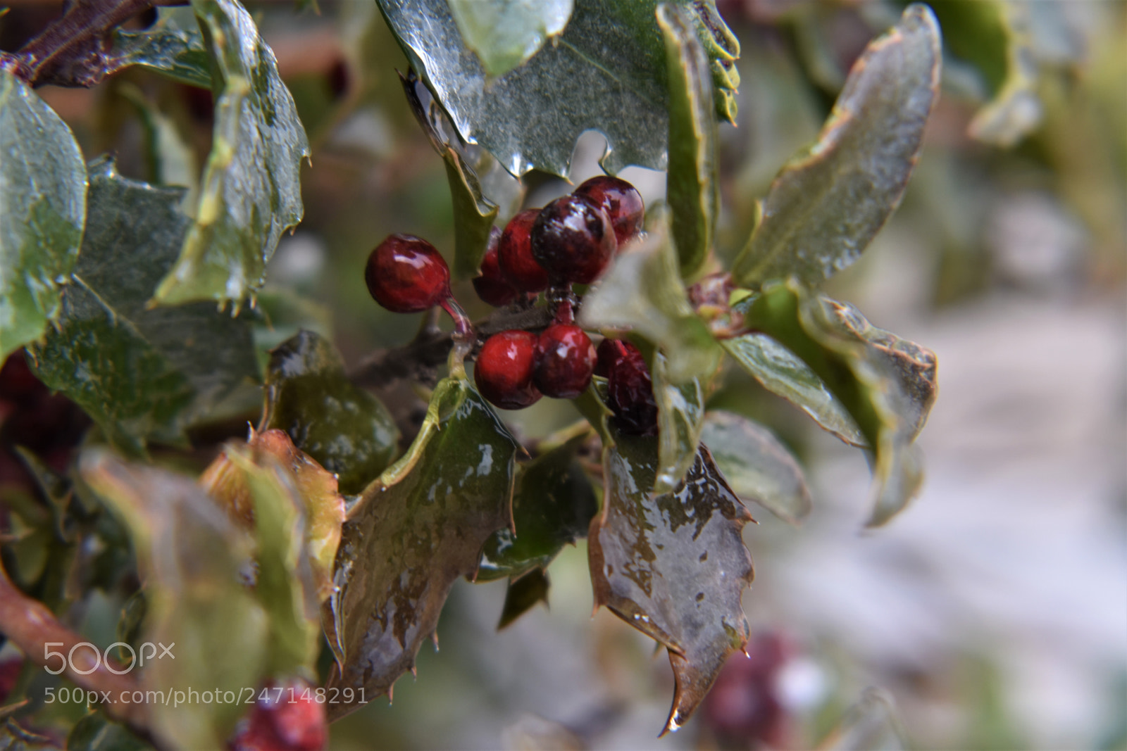 Nikon D3400 sample photo. () photography