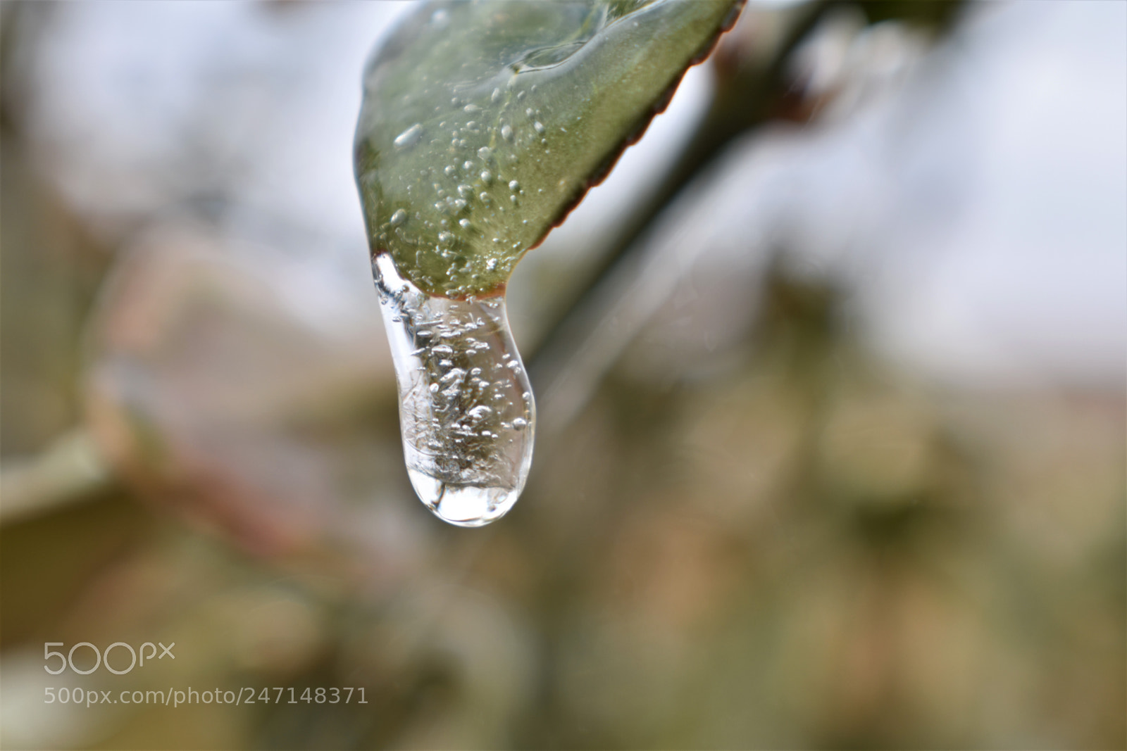 Nikon D3400 sample photo. () photography