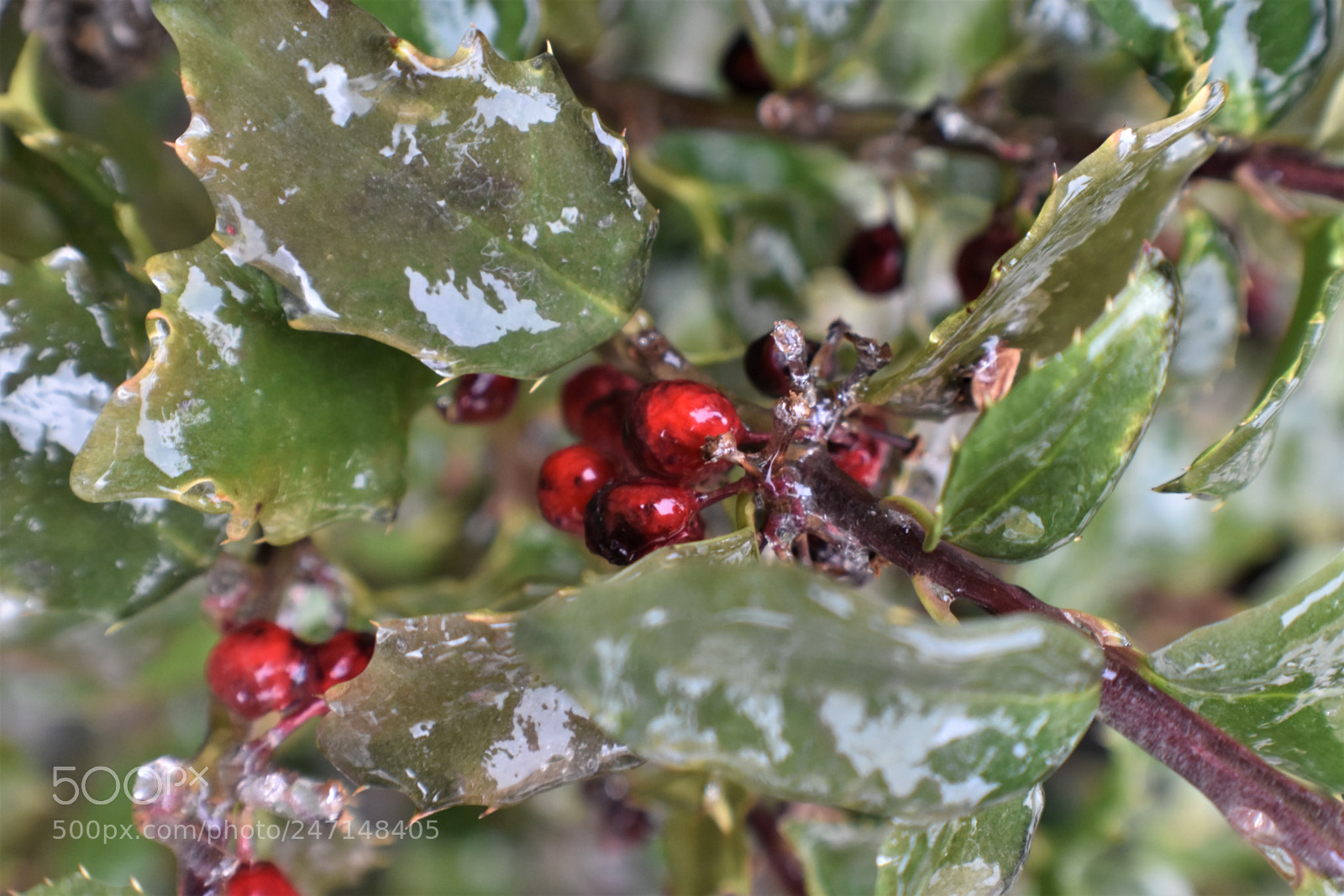 Nikon D3400 sample photo. () photography