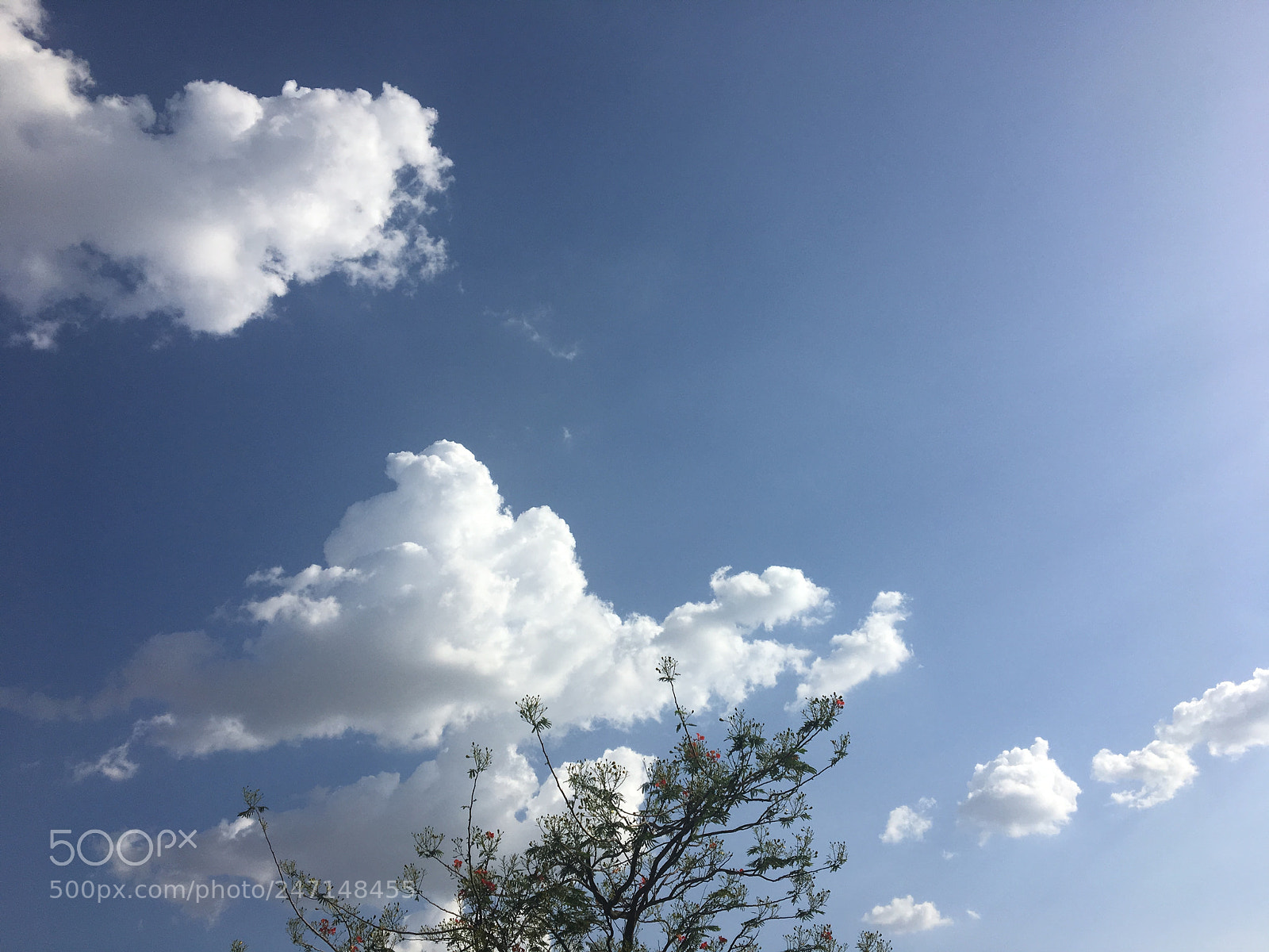 Apple iPhone 6s sample photo. Untitled photography