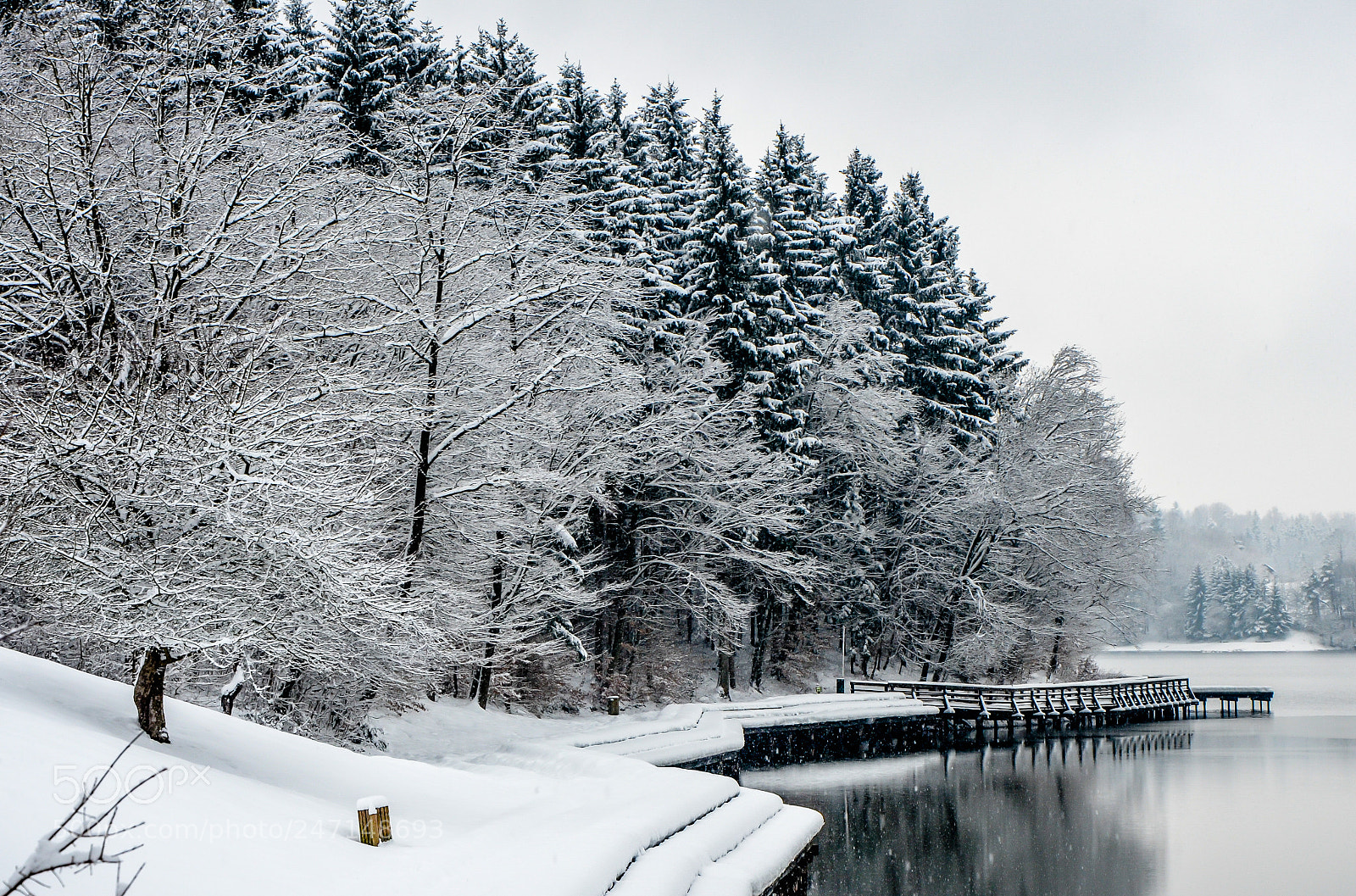 Nikon D5100 sample photo. Snowy morning photography