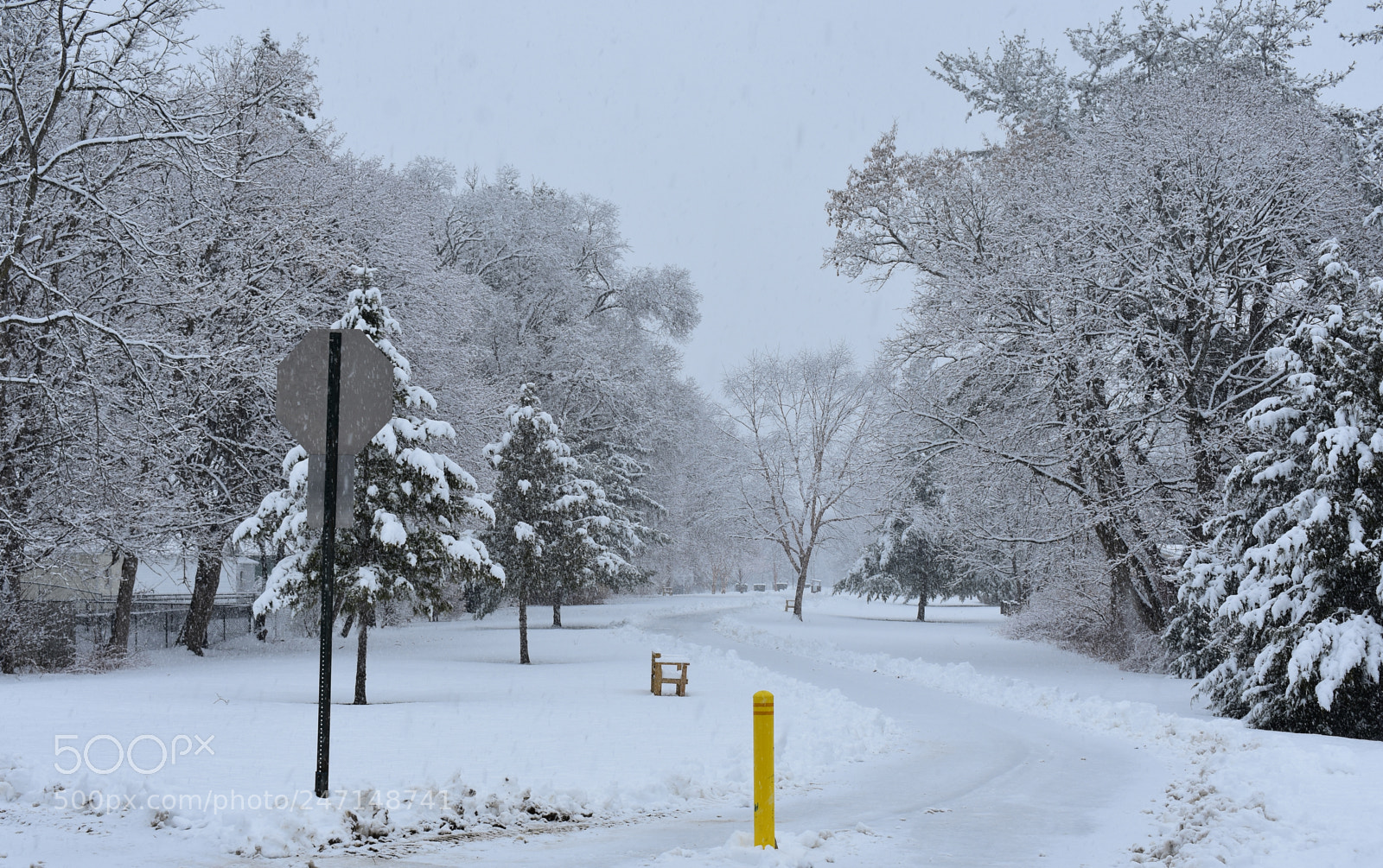 Nikon D3400 sample photo. Winter landscape at the photography