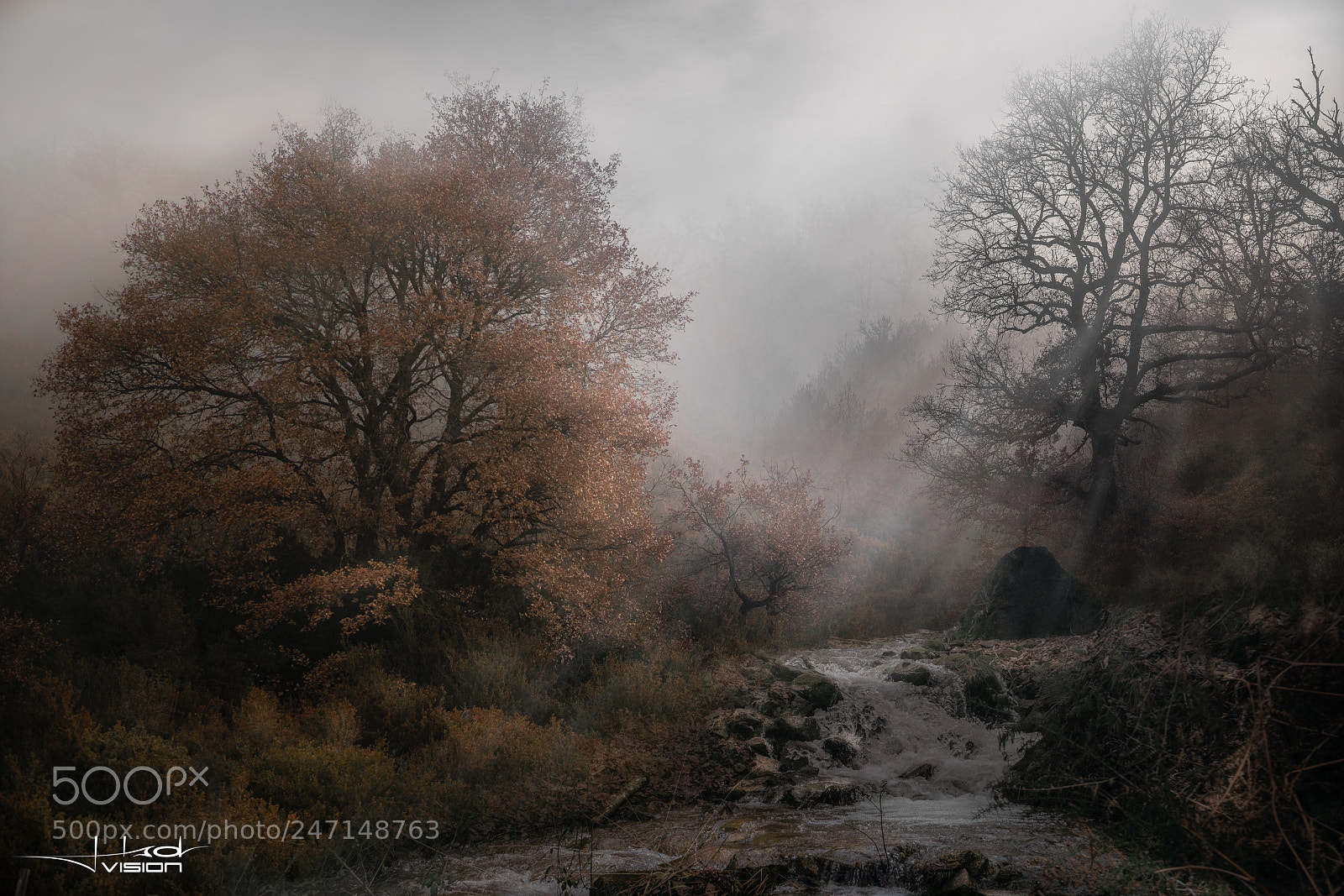 Sony a7R II sample photo. ... finding the hope ... photography