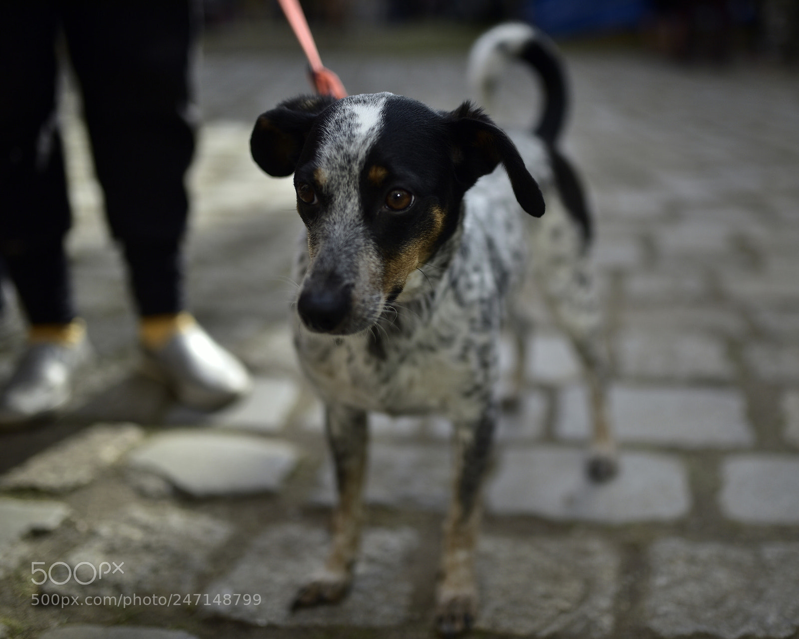 Nikon D750 + Sigma 35mm F1.4 DG HSM Art sample photo. Dsc photography