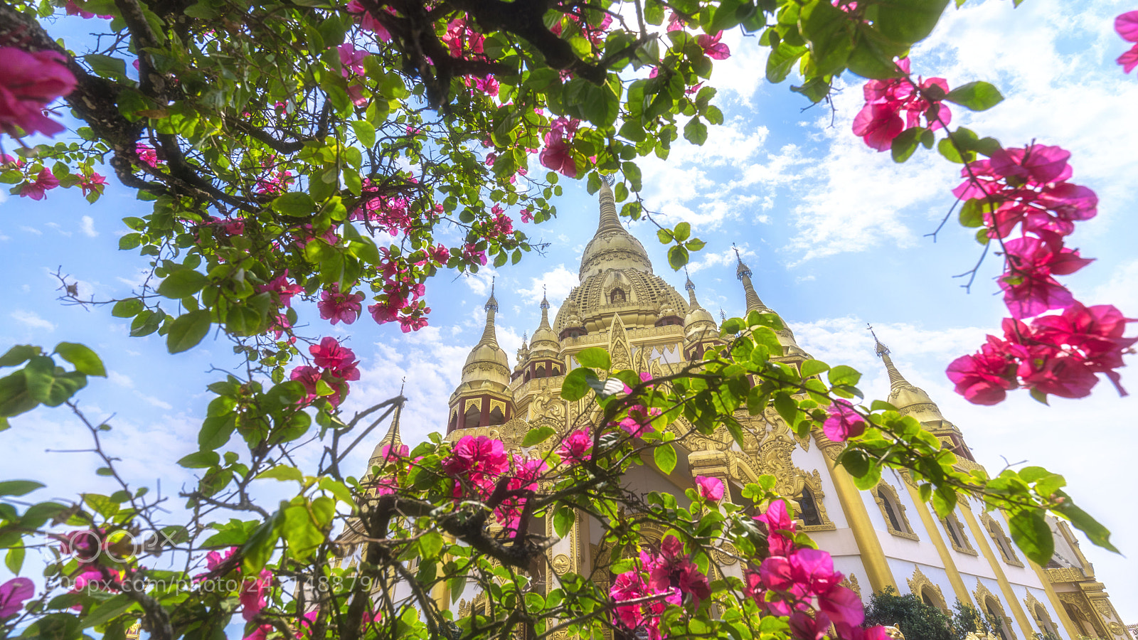 Sony a7 II sample photo. 芒市金塔 photography