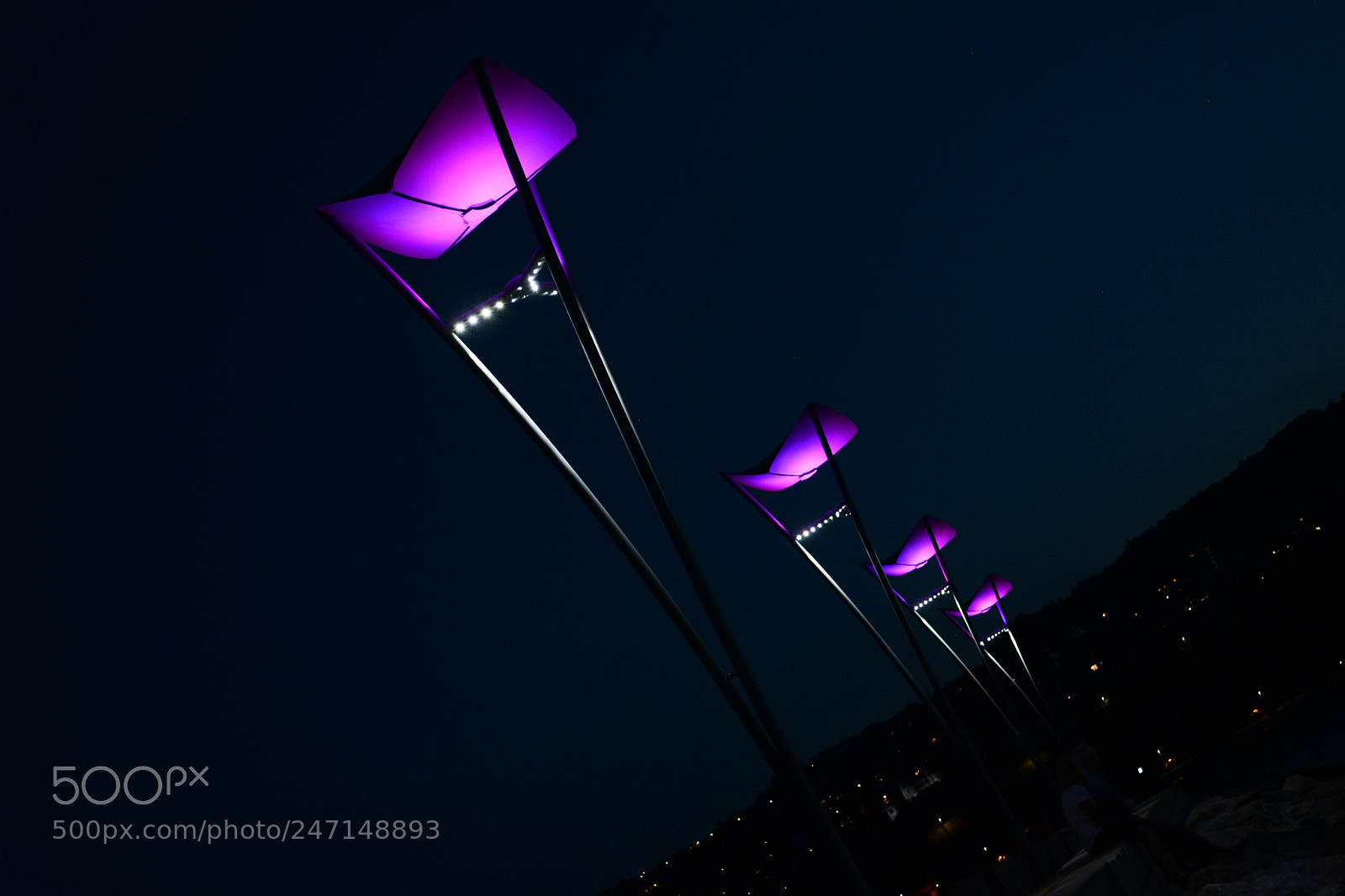 Nikon D5200 sample photo. Purple lights photography