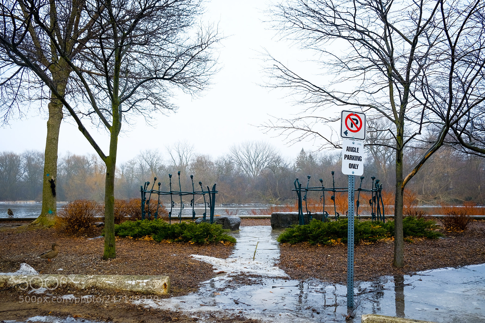 Fujifilm X-T20 sample photo. Untitled photography