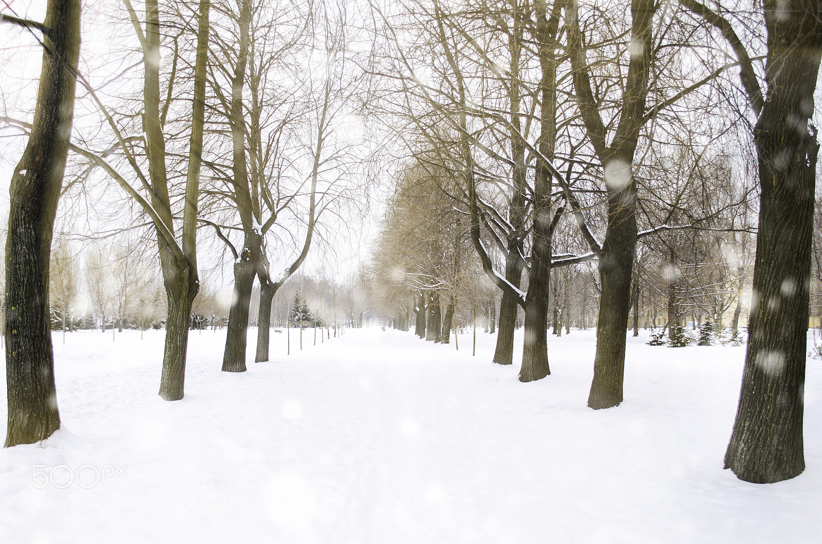 Nikon D5100 sample photo. Depressive winter №2 photography