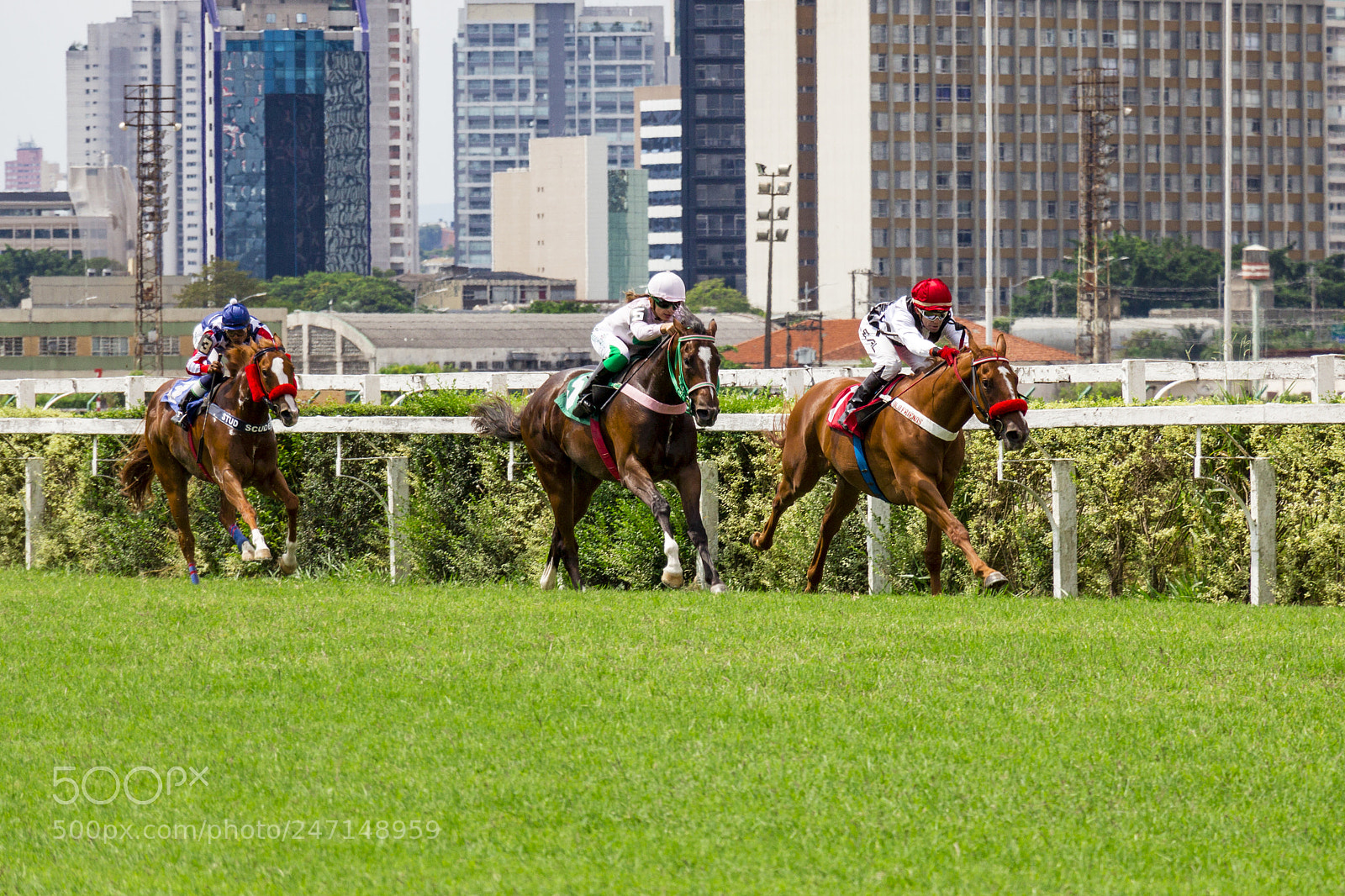 Canon EOS 700D (EOS Rebel T5i / EOS Kiss X7i) sample photo. Jockey club de s photography