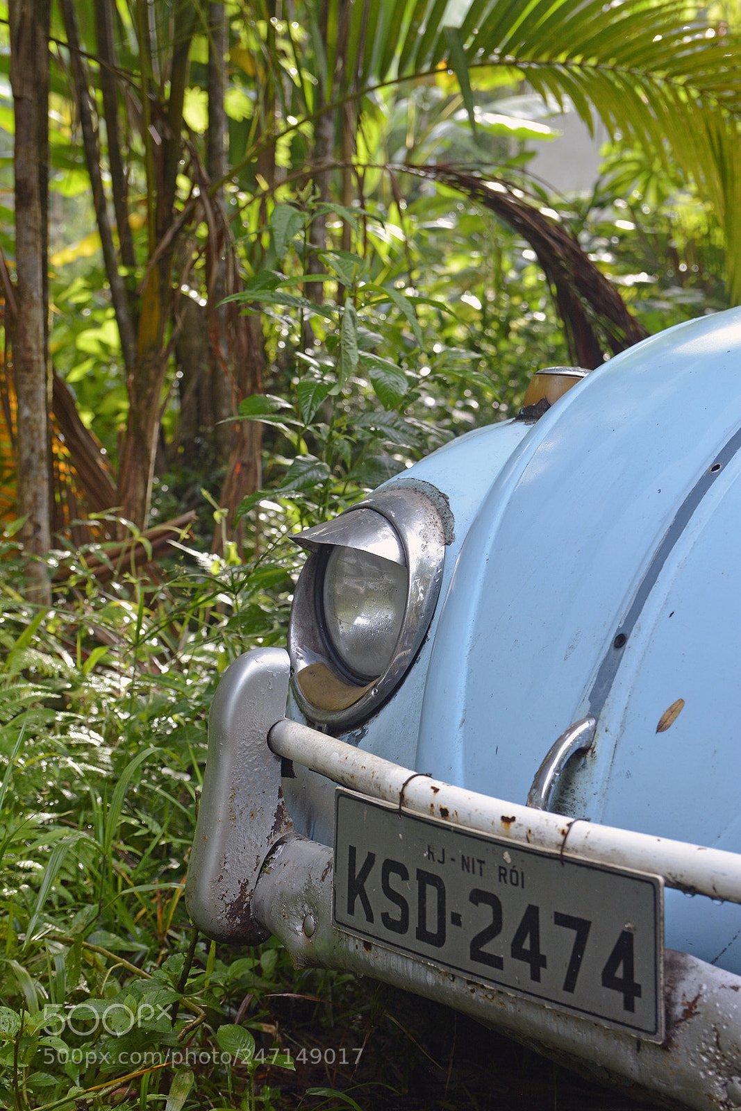 Nikon D5200 sample photo. Nossas f rias em photography