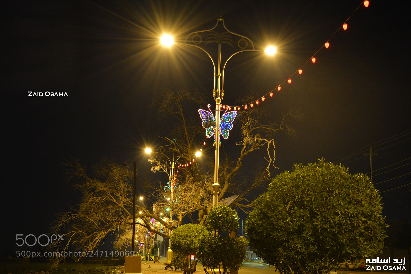 Nikon D5200 sample photo. Something from basrah city photography