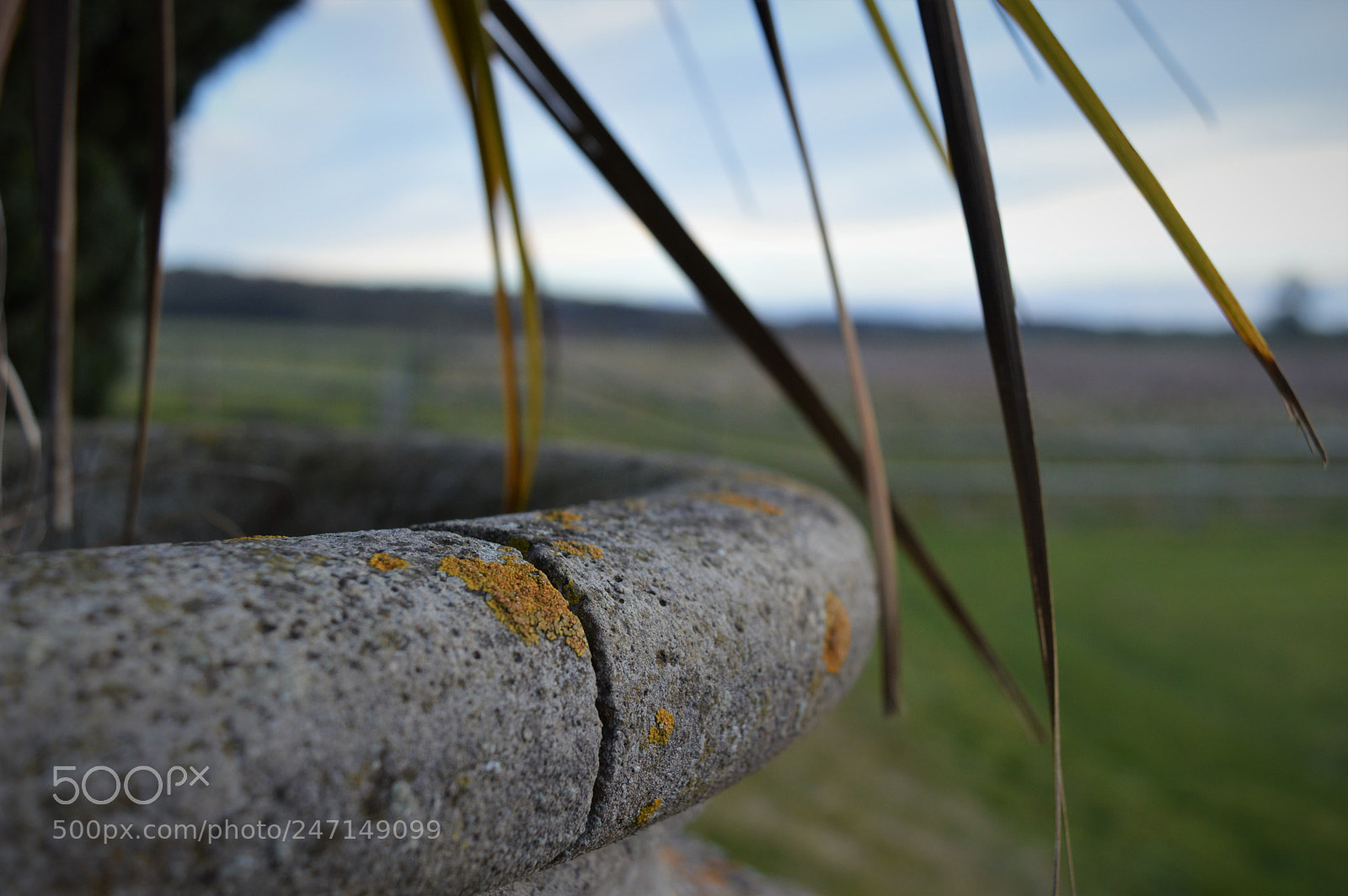 Nikon D3200 sample photo. () photography