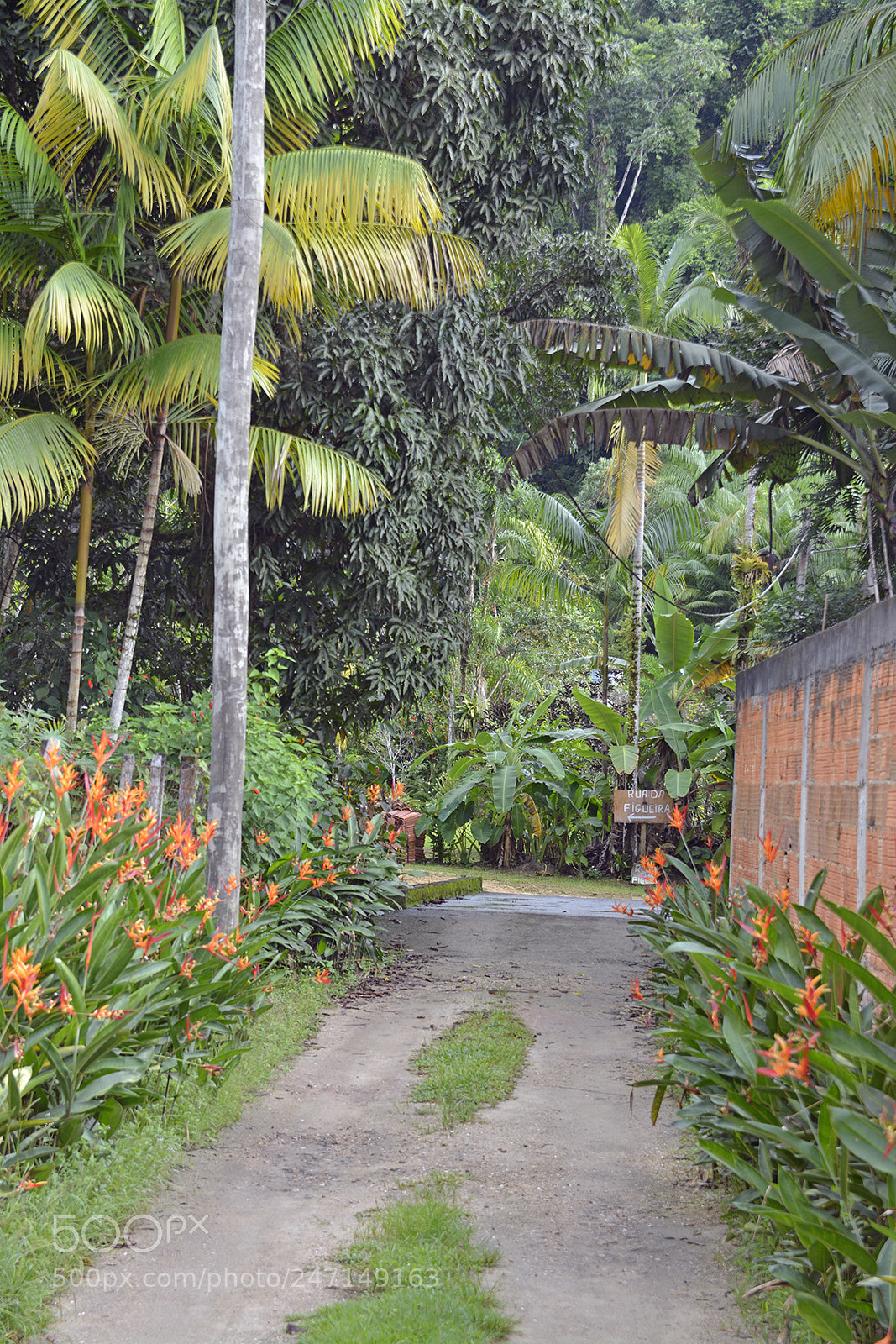 Nikon D5200 sample photo. Nossas f rias em photography