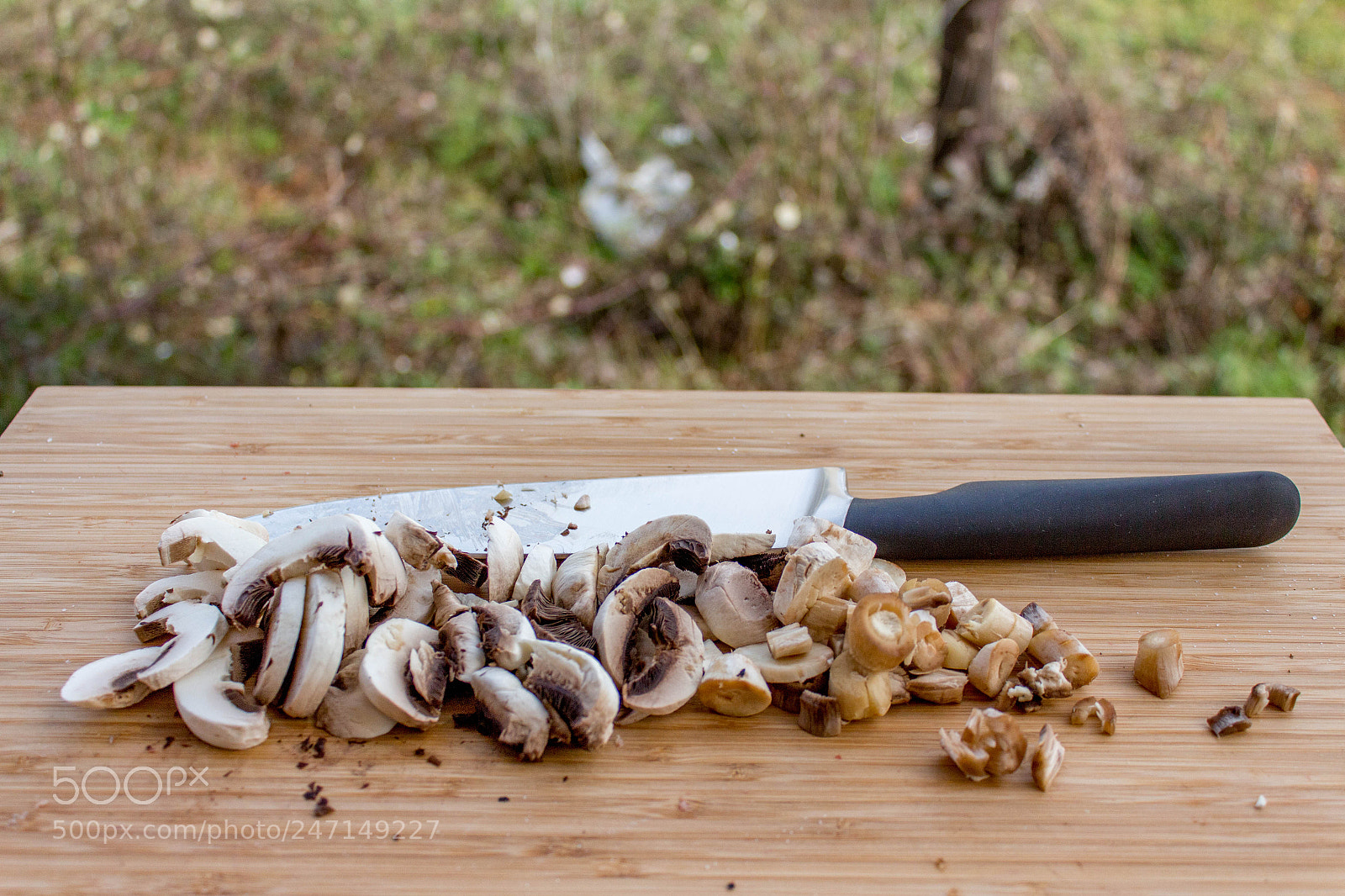 Canon EOS 700D (EOS Rebel T5i / EOS Kiss X7i) sample photo. Mushroom love. photography