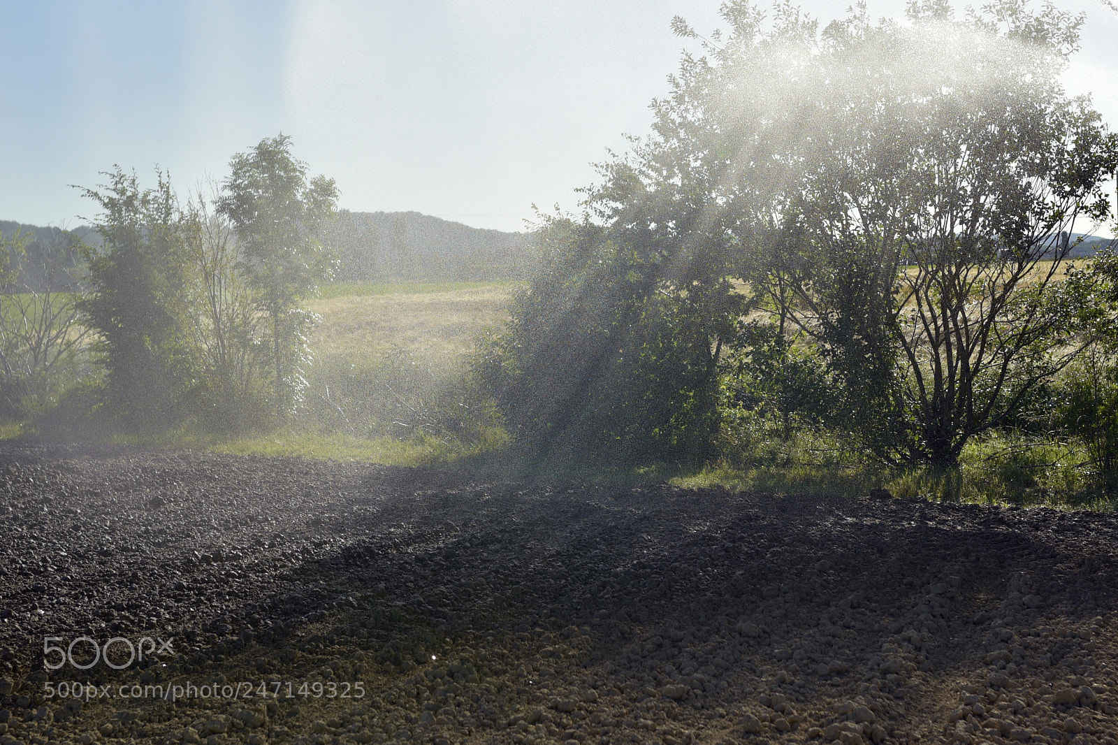 Nikon D750 + Sigma 35mm F1.4 DG HSM Art sample photo. Dsc photography