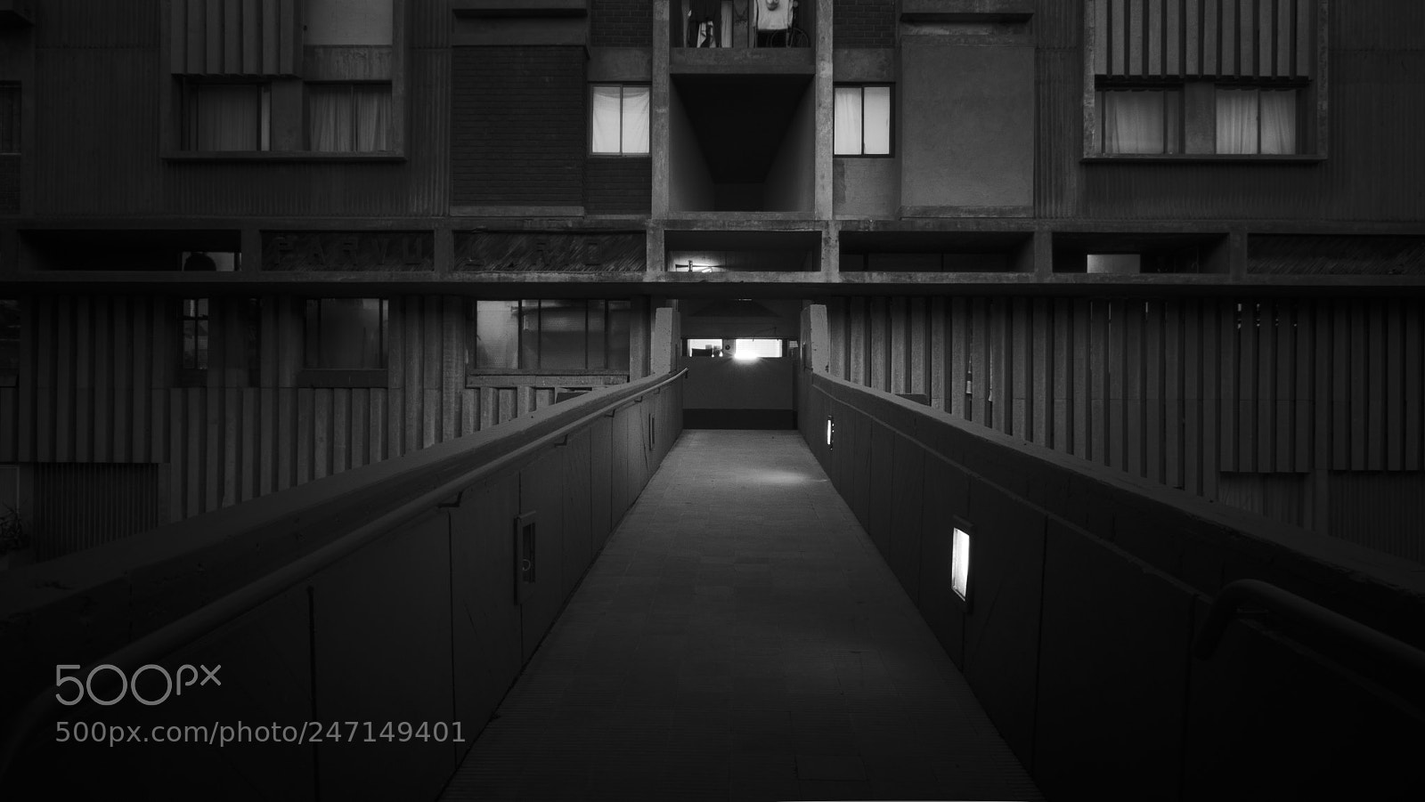 Nikon D5100 sample photo. Walkway photography