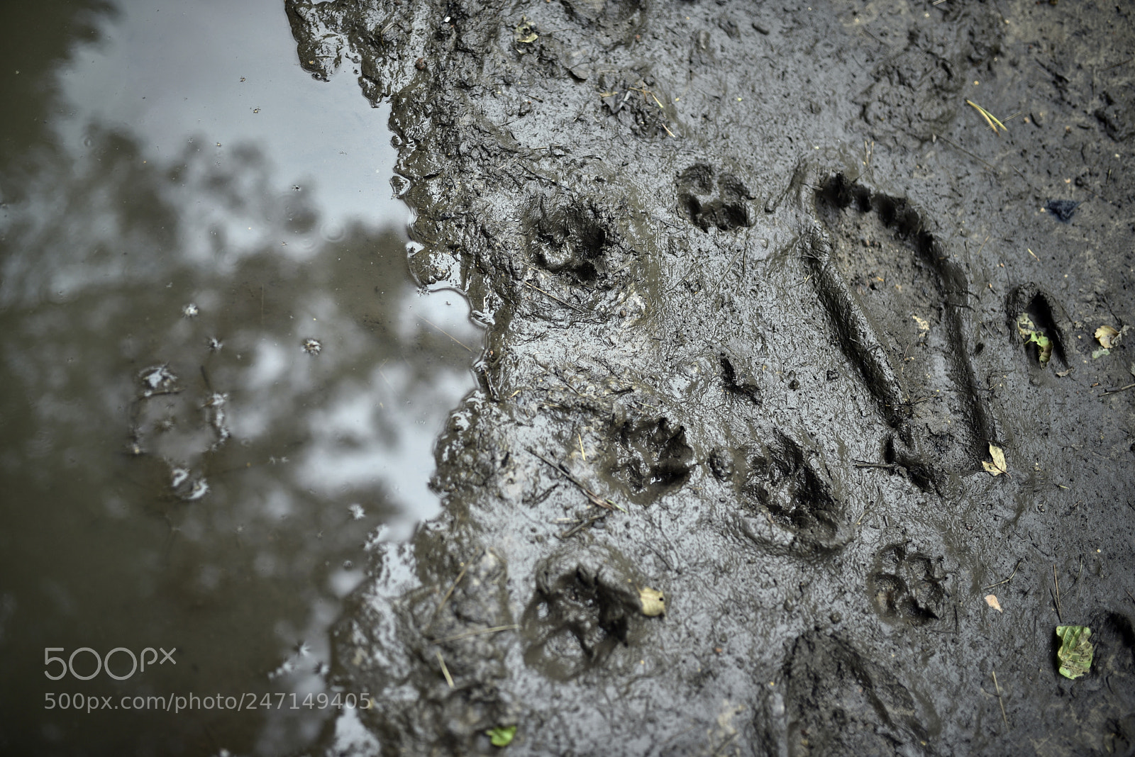 Sigma 35mm F1.4 DG HSM Art sample photo. Dsc photography