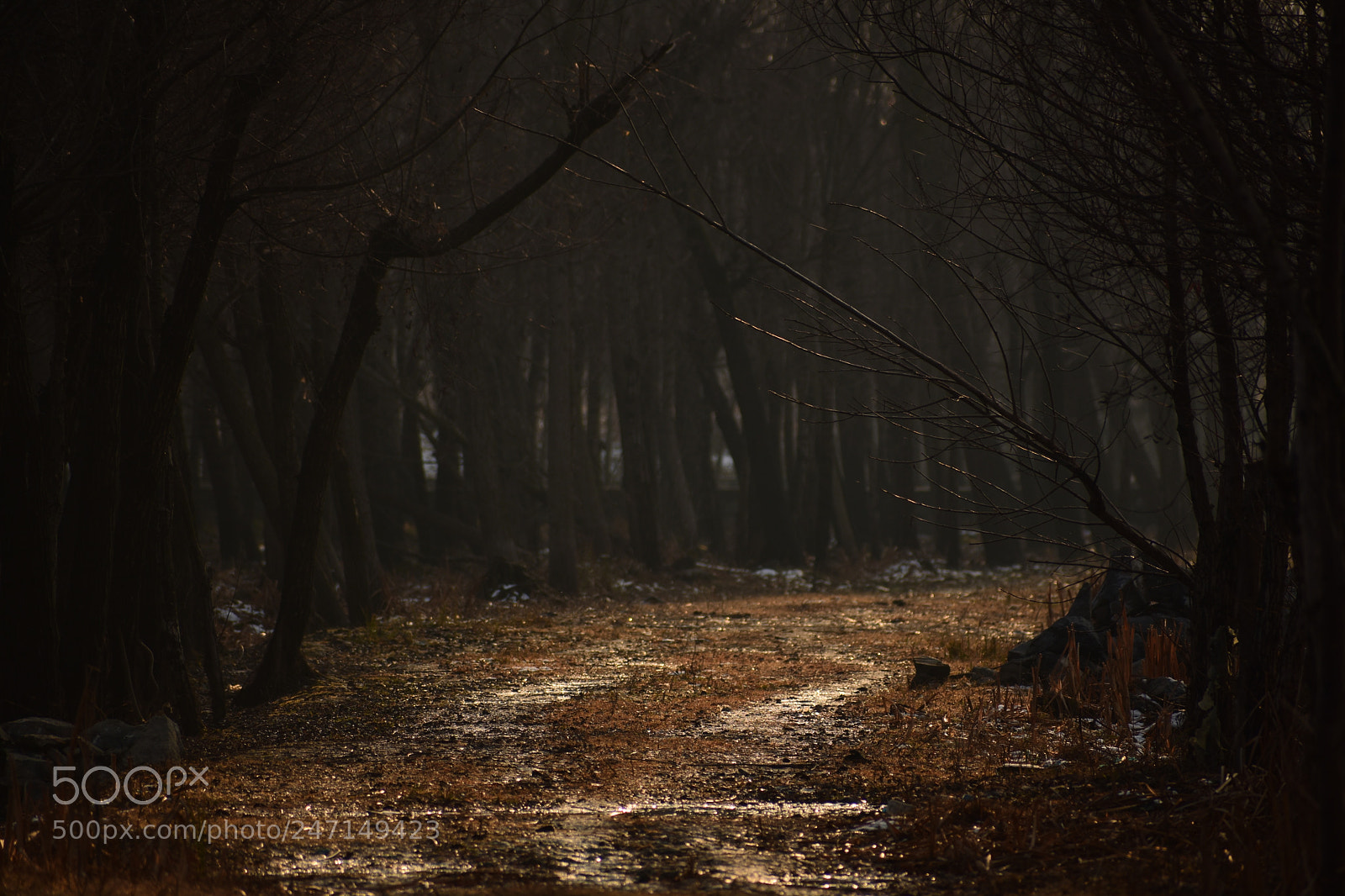 Nikon D7200 sample photo. Nature is pleased with photography