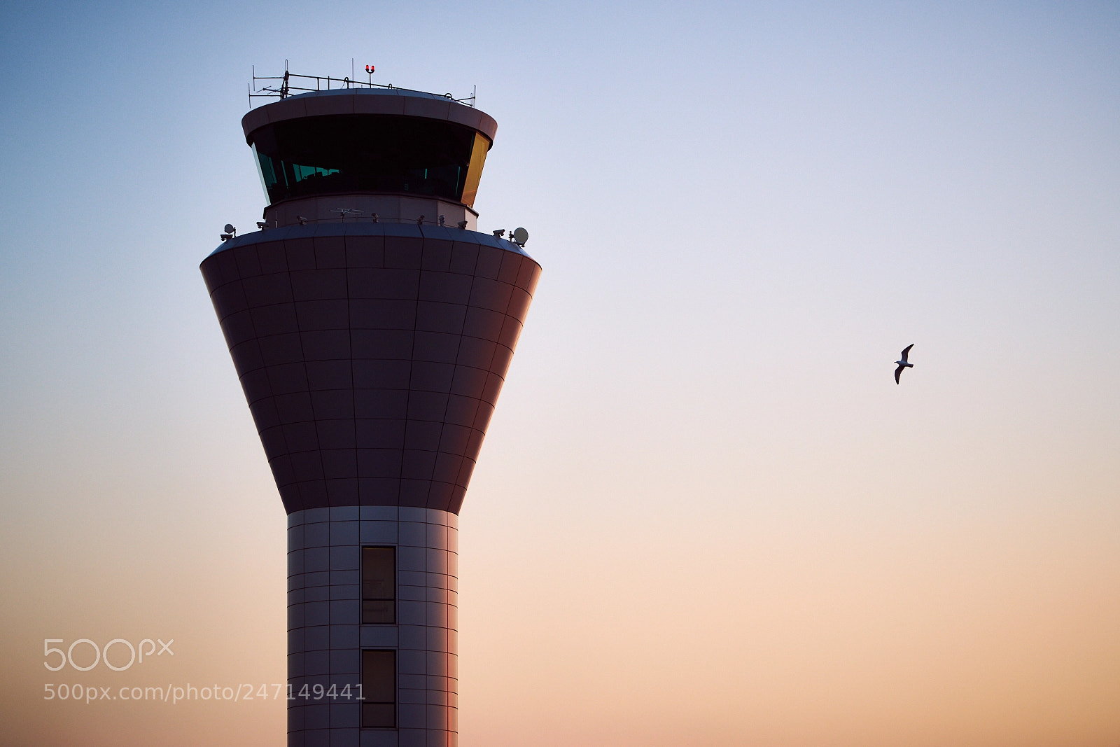Sony a7R II sample photo. Day fifty four photography