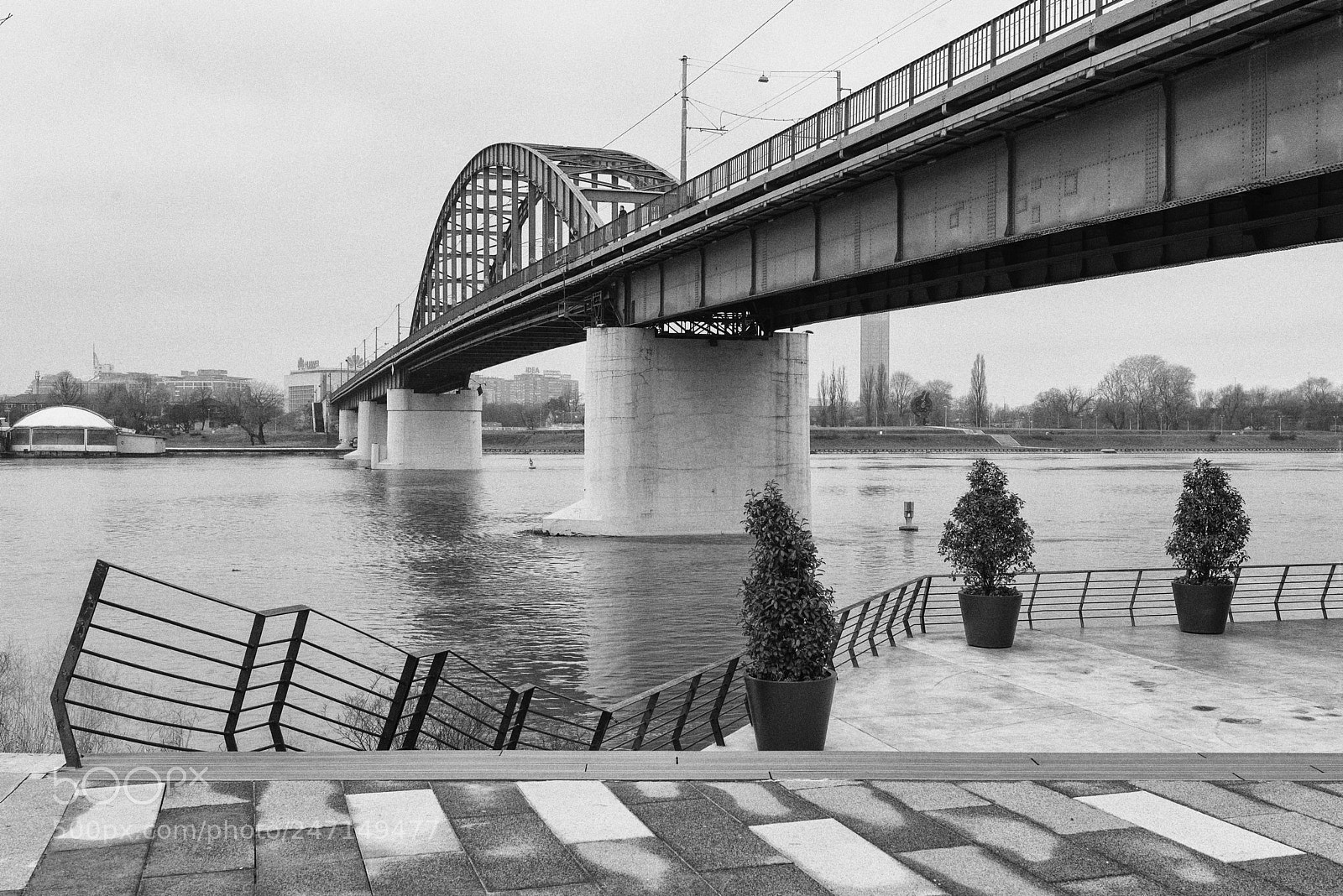 Nikon D610 sample photo. Bw photography