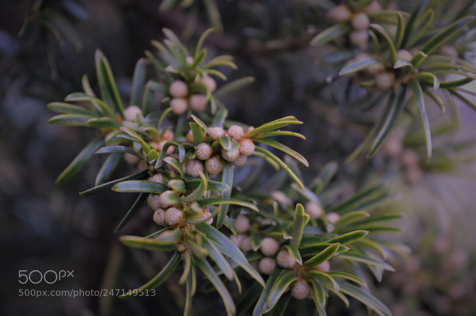 Nikon D3200 sample photo. () photography