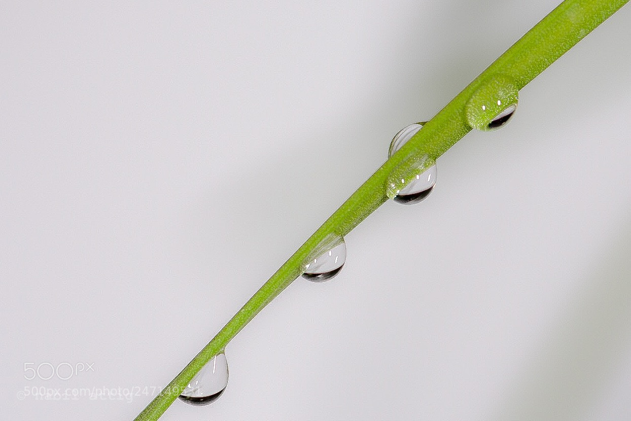 Nikon D7200 sample photo. Untitled photography