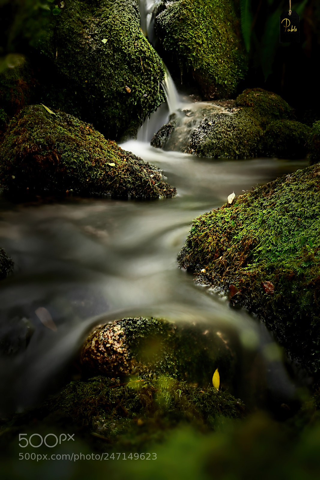 Sony DSC-R1 sample photo. "magic waters"..... photography