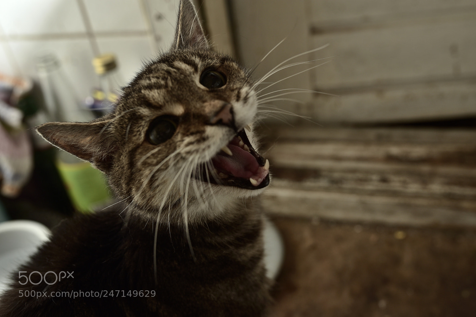 Sigma 35mm F1.4 DG HSM Art sample photo. Dsc photography