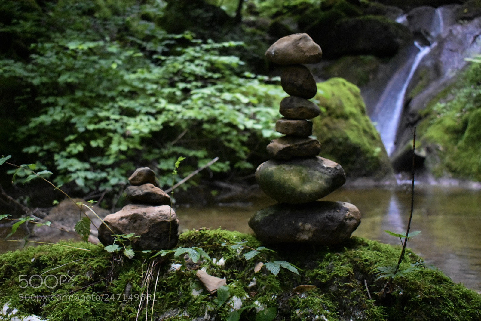 Nikon D3400 sample photo. Twannbachschlucht photography