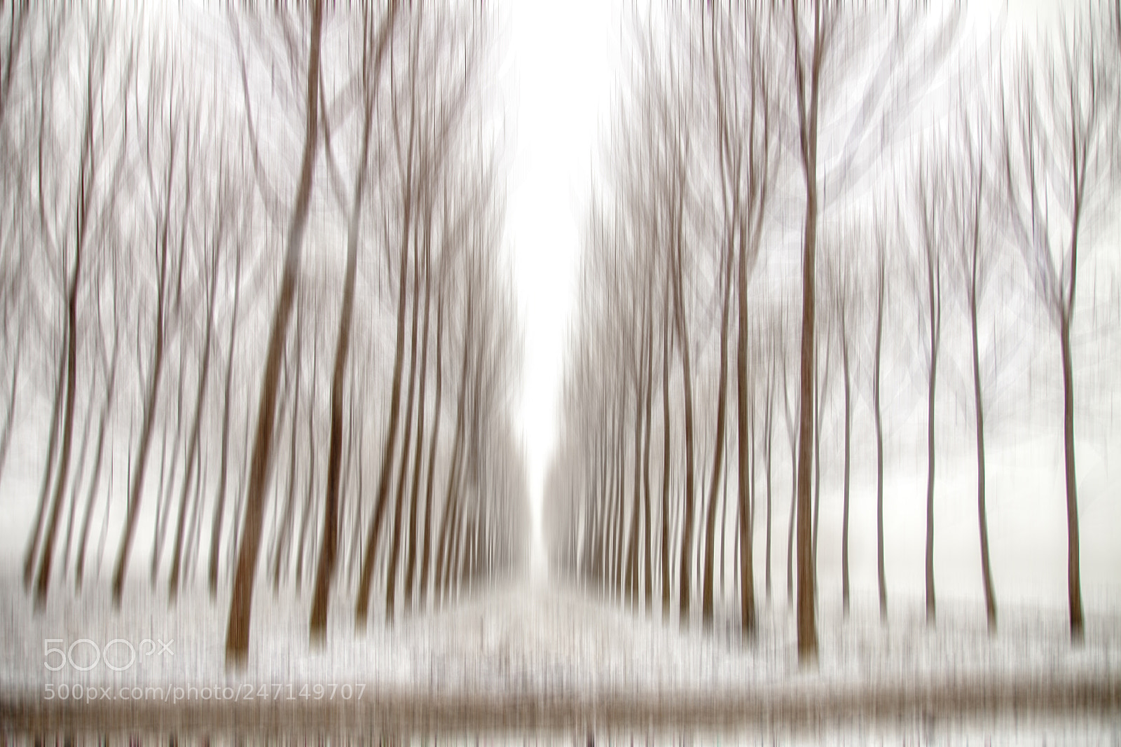Canon EOS 50D sample photo. Snow photography