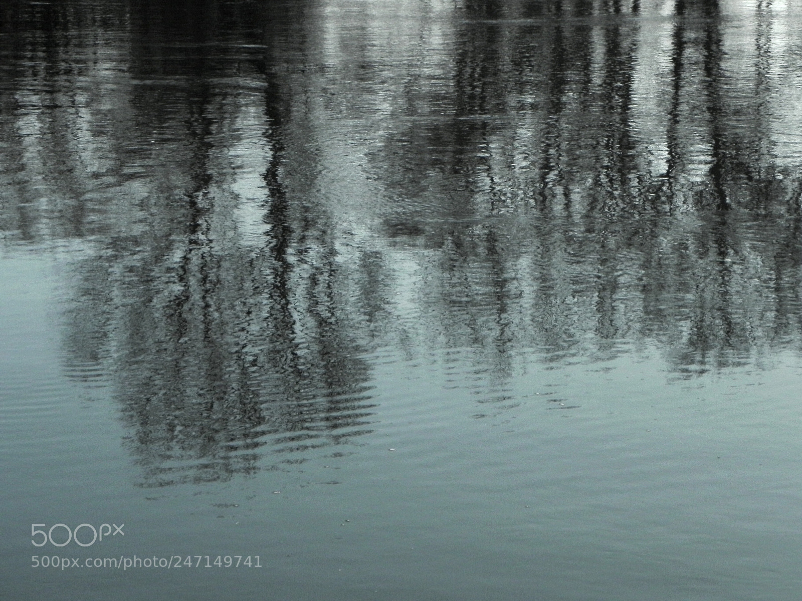 Nikon Coolpix P100 sample photo. Sad reflections photography