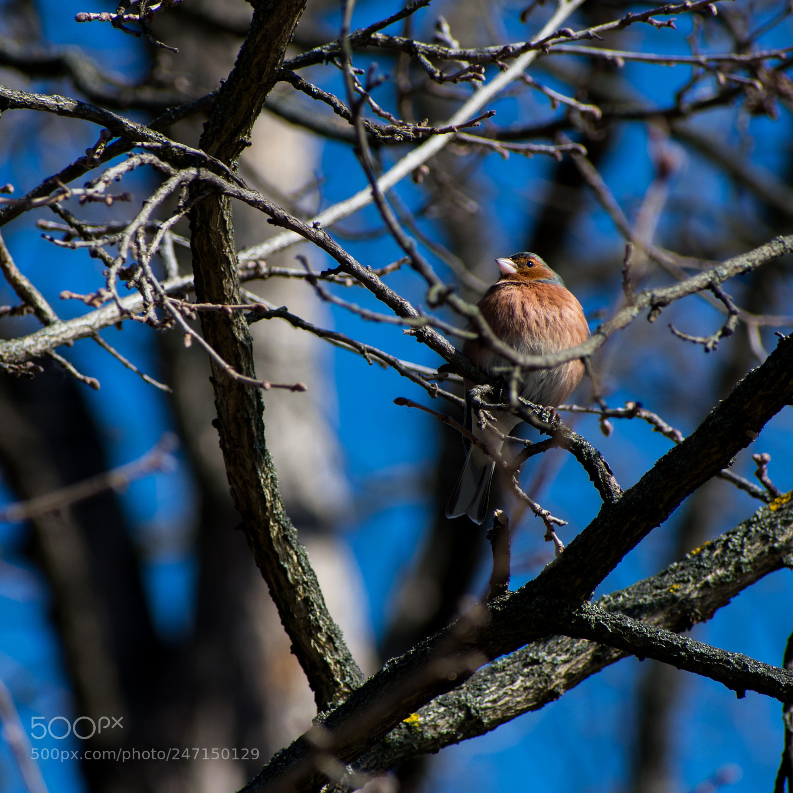 Nikon D3400 sample photo. The mighty photography