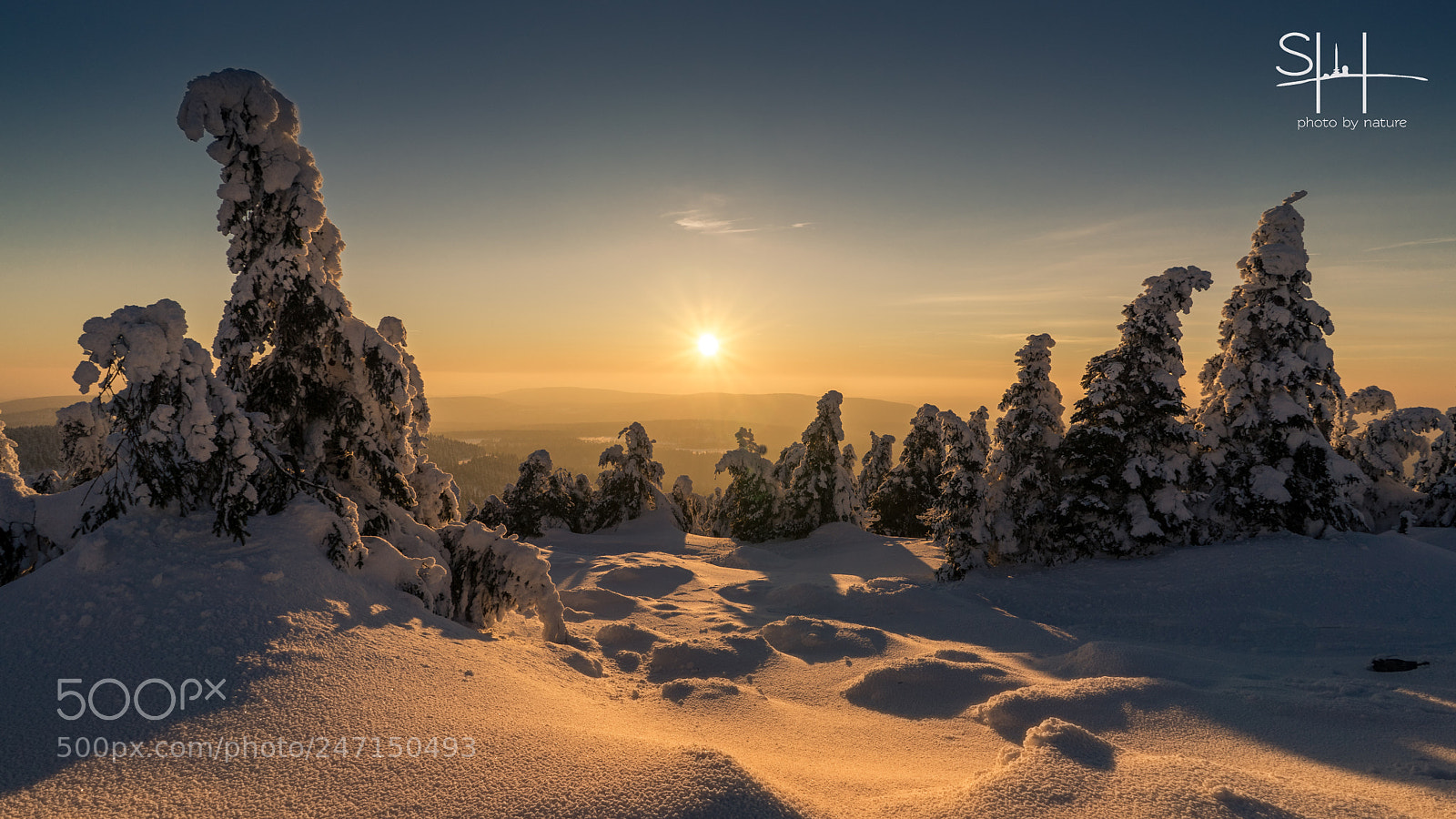 Sony a7 sample photo. Sonnige aussicht photography
