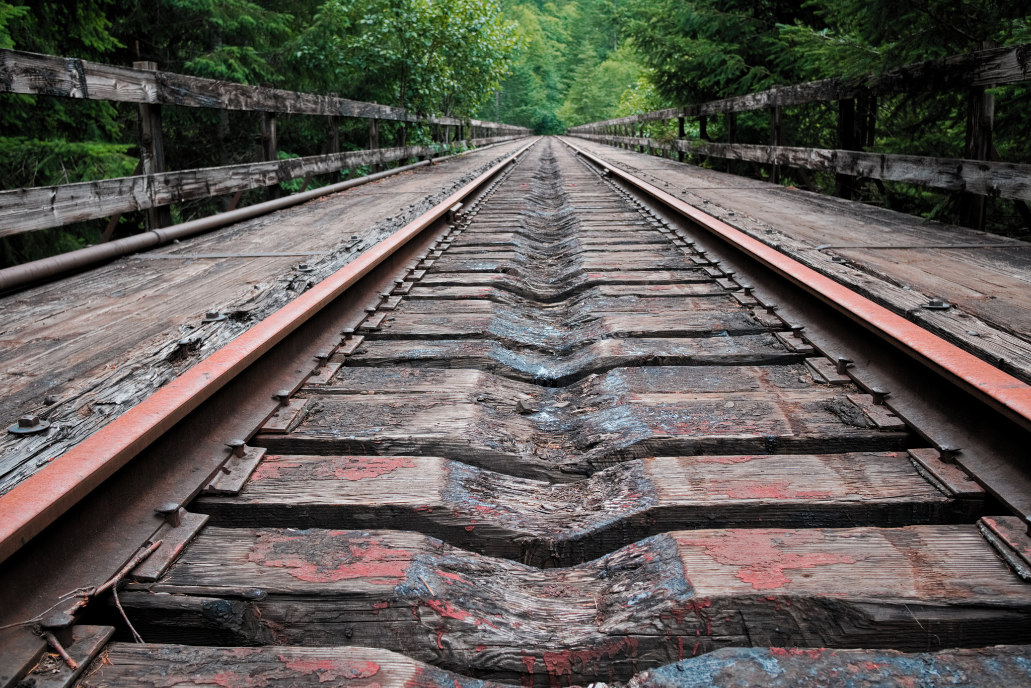 Sony a6000 + Sigma 19mm F2.8 EX DN sample photo. Baldwin trestle photography