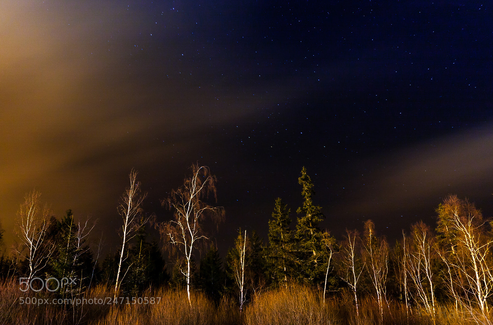 Canon EOS 40D sample photo. Night sky #2 photography