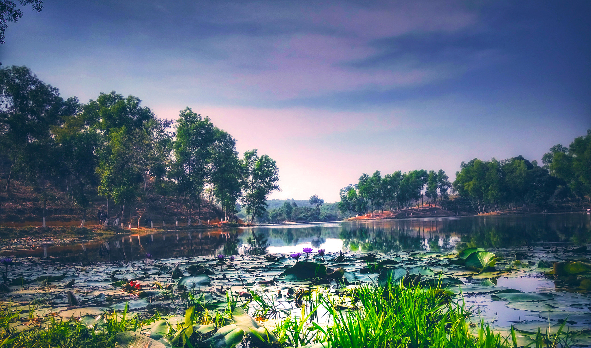 Xiaomi Redmi Note 3 sample photo. Lake view photography