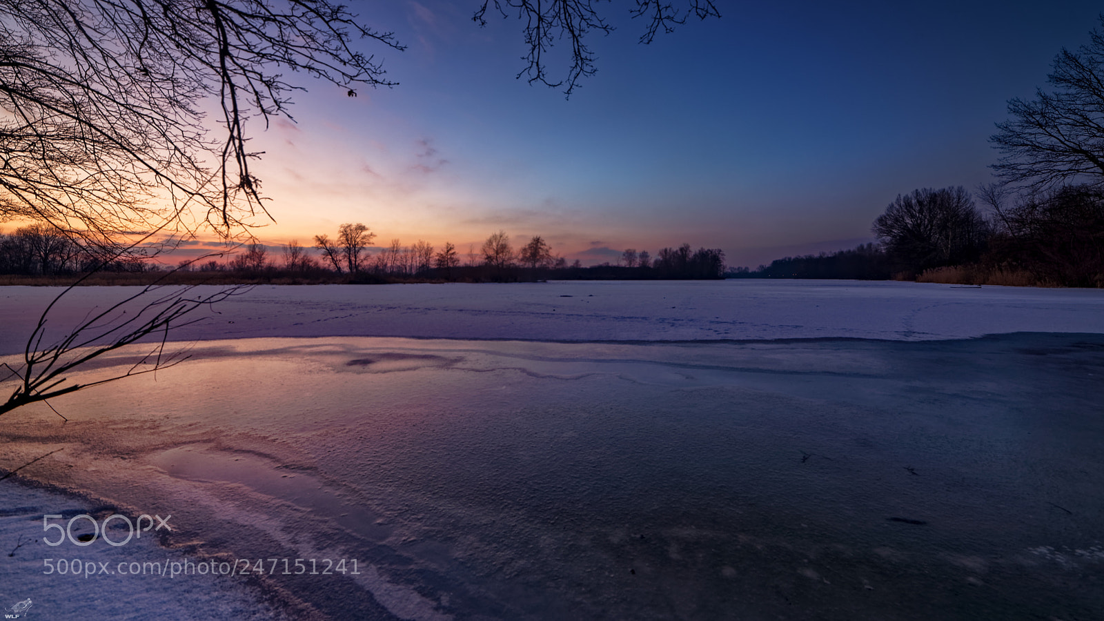 Nikon D610 sample photo. Icy light photography
