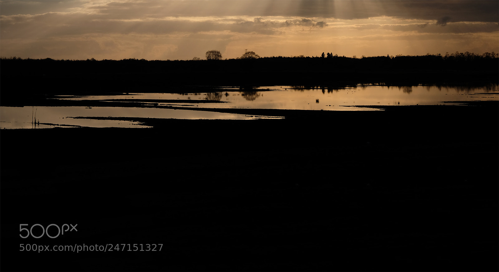 Fujifilm X-T2 sample photo. Flood reflected photography