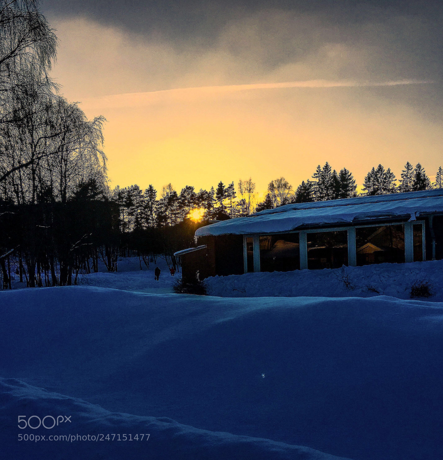 Apple iPhone 6s Plus sample photo. Trasop skole i oslo. photography