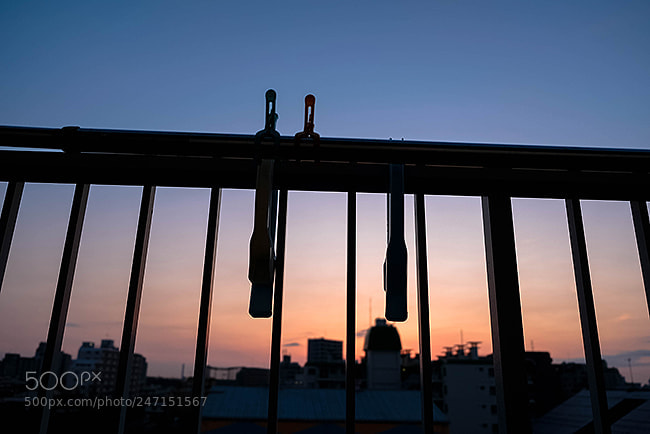 Fujifilm X-T2 sample photo. My morning today photography