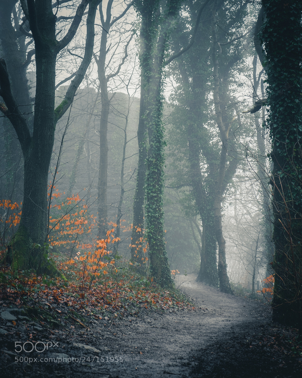 Fujifilm X-T10 sample photo. Misty castle photography