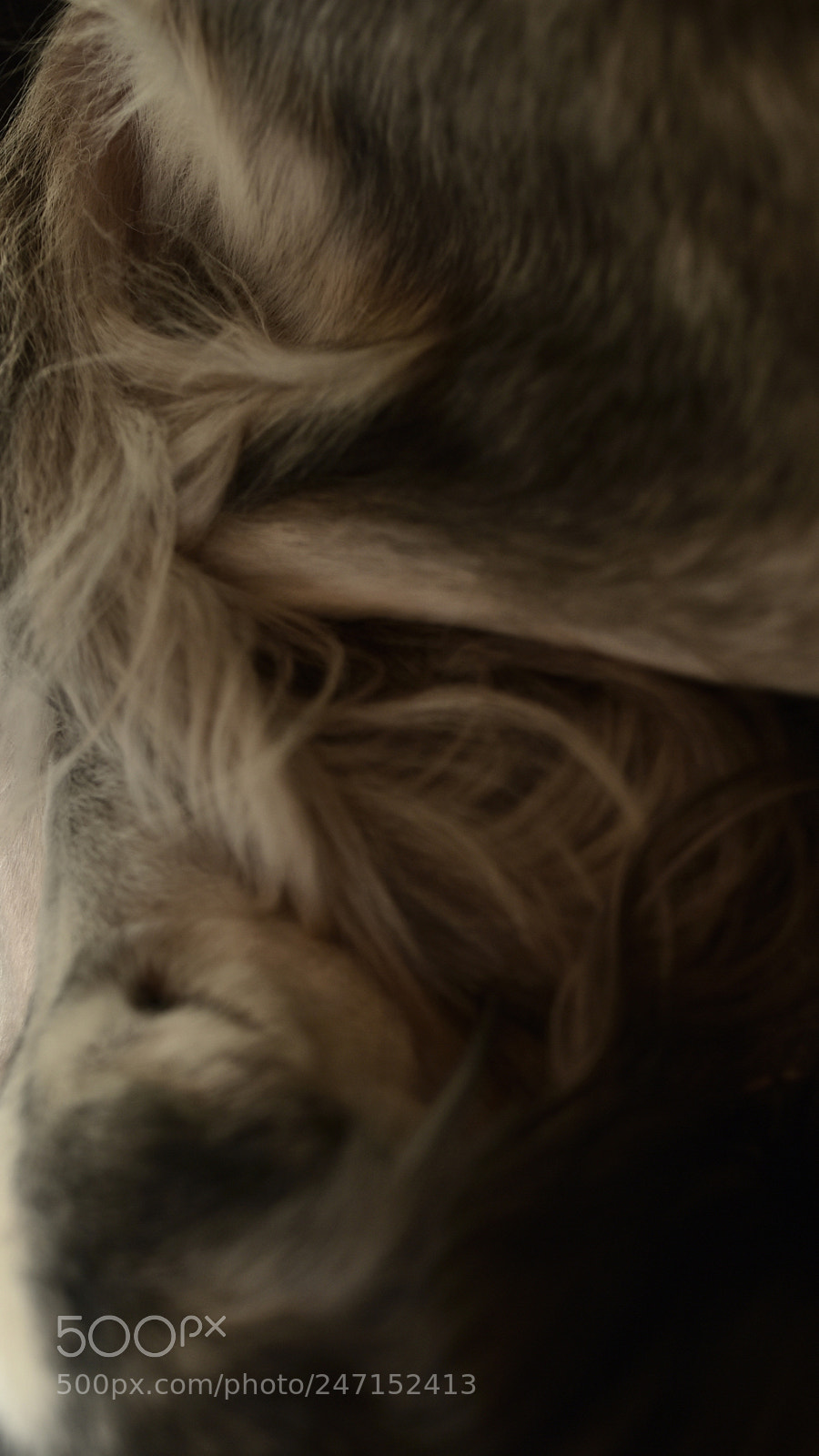 Nikon D750 + Sigma 35mm F1.4 DG HSM Art sample photo. Dsc photography