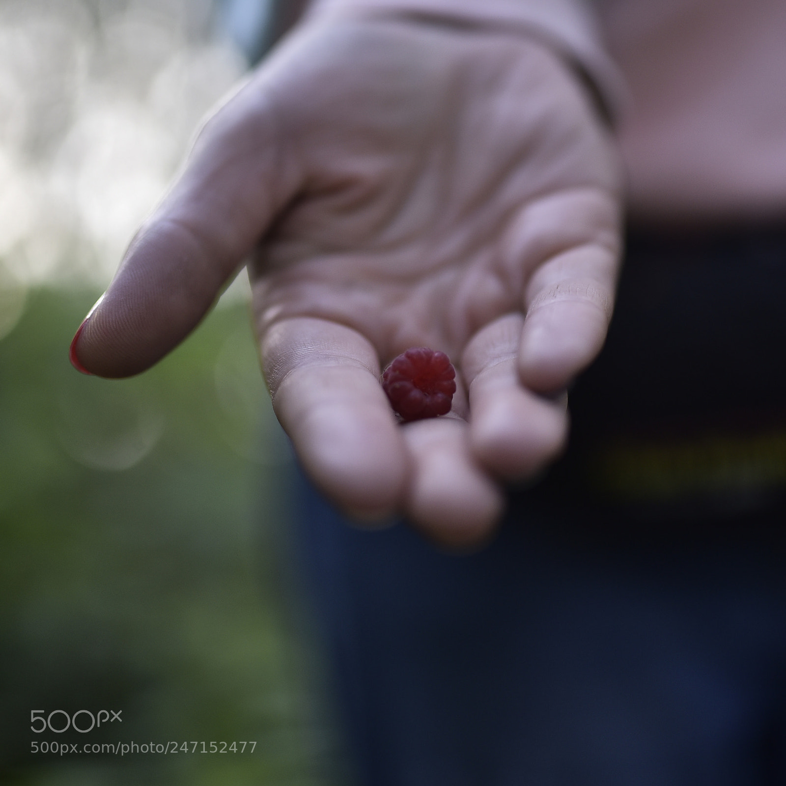Nikon D750 + Sigma 35mm F1.4 DG HSM Art sample photo. Dsc photography